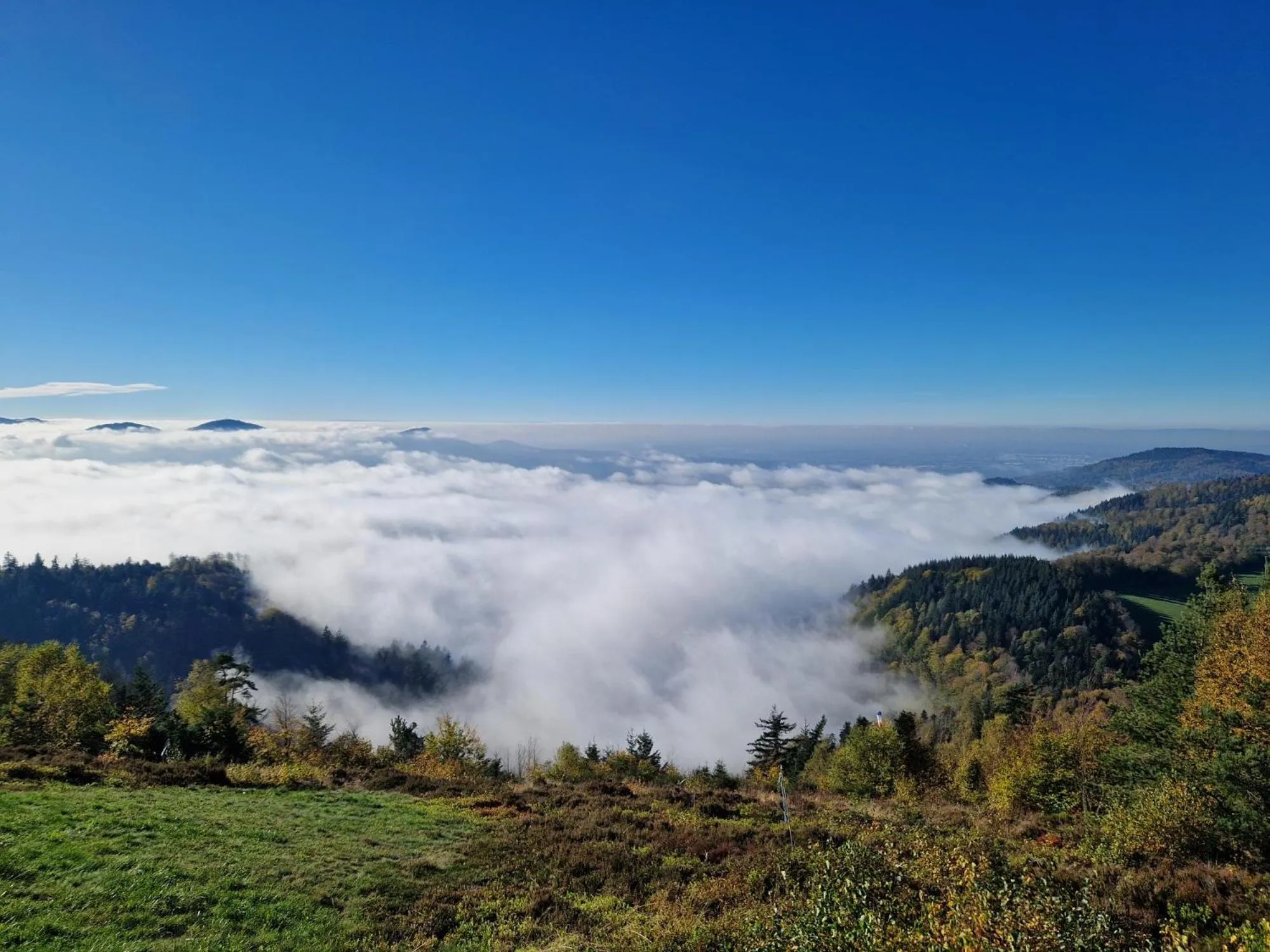 Day in Hotel Platzhirsch