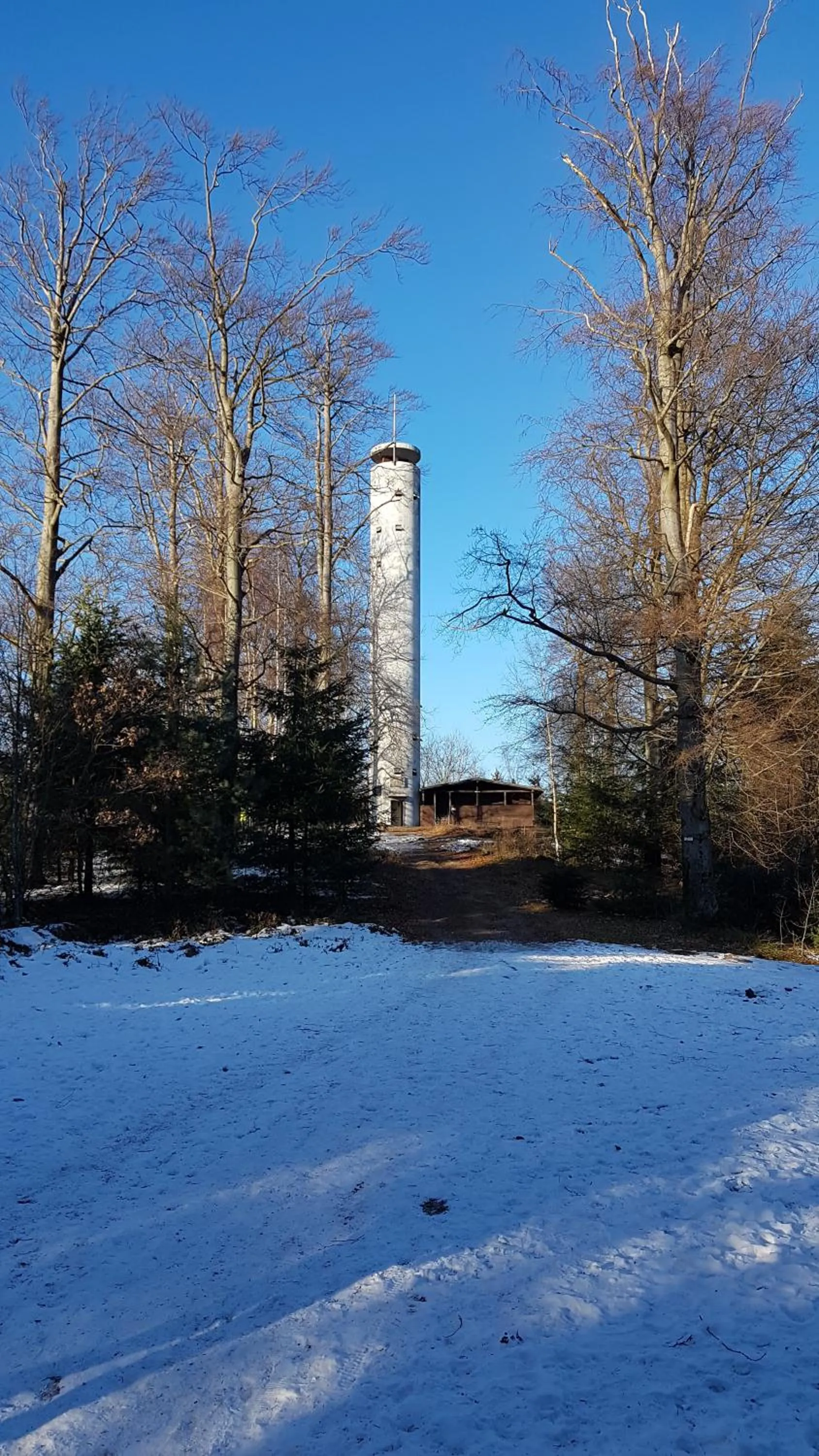 Natural landscape in Hotel Platzhirsch