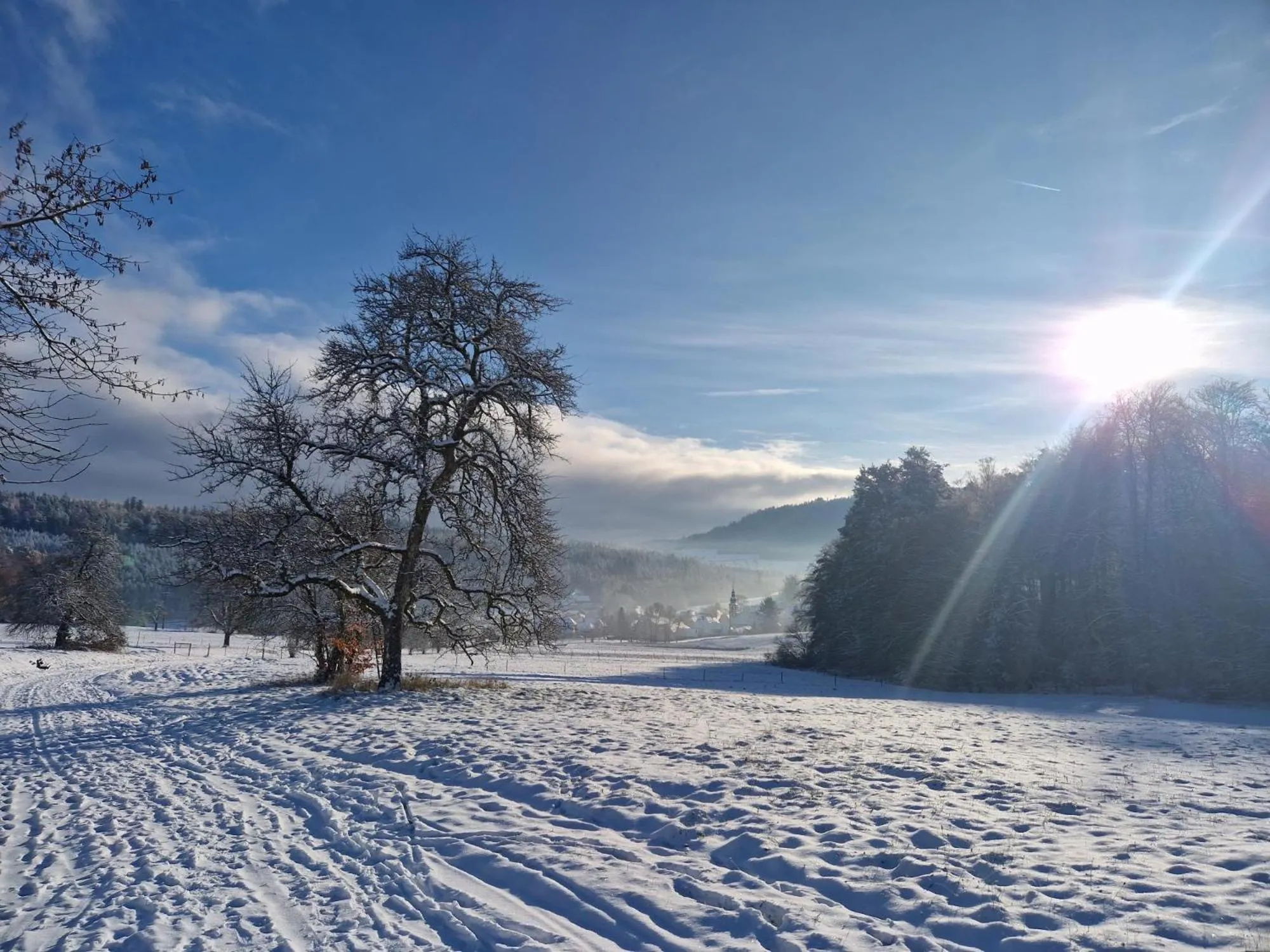 Natural landscape in Hotel Platzhirsch