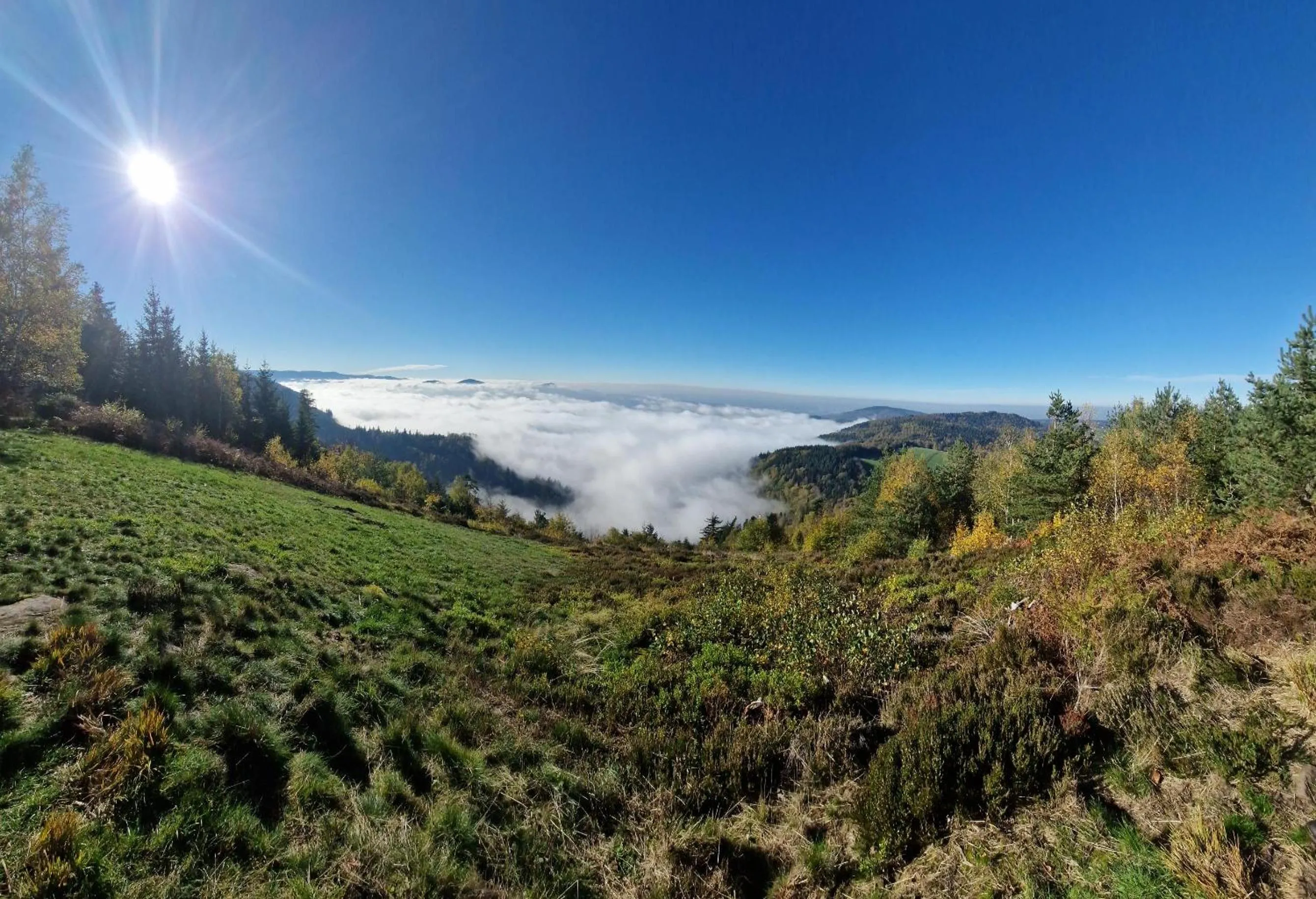 Day in Hotel Platzhirsch