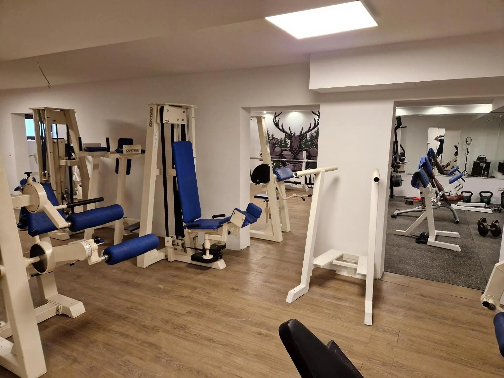 Fitness centre/facilities in Hotel Platzhirsch