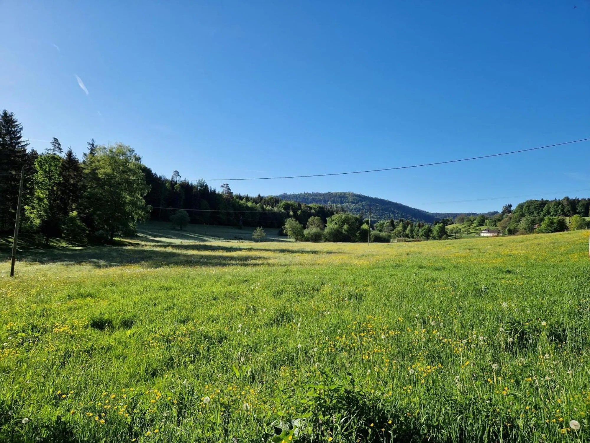 Spring in Hotel Platzhirsch