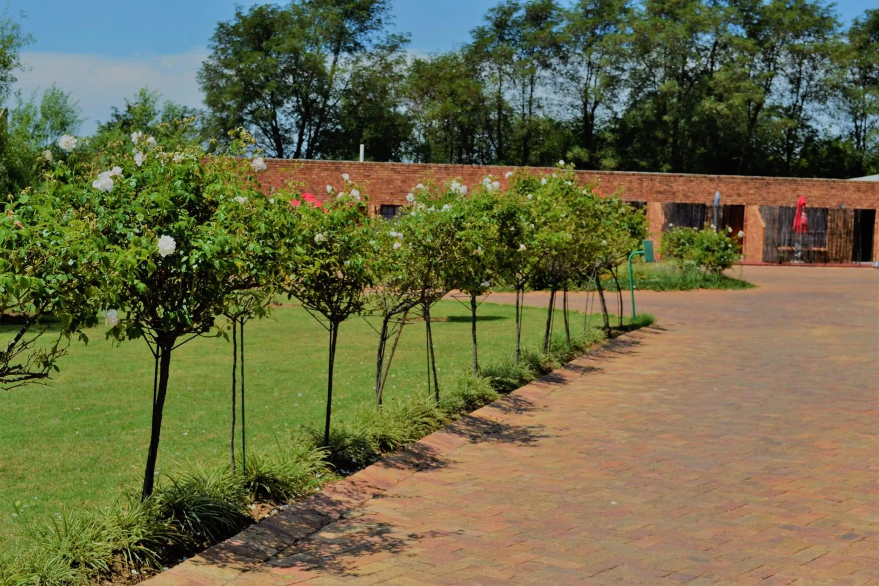 The Lazy Grape Guest Lodge & Spa