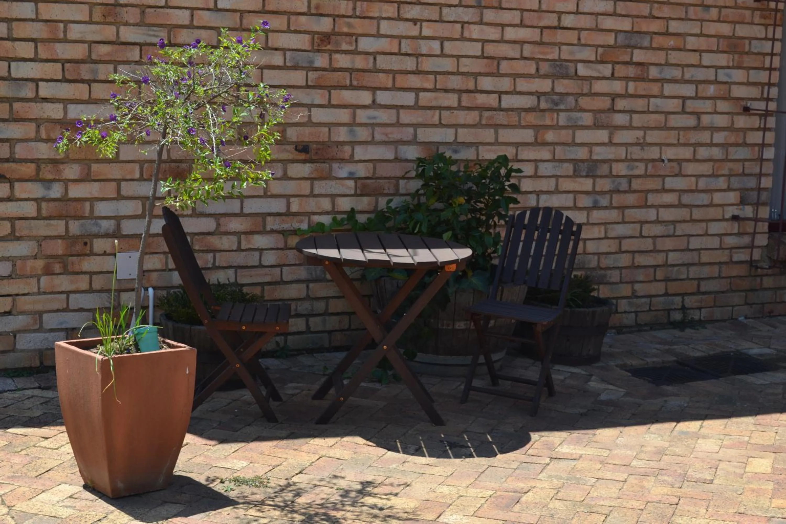 The Lazy Grape Guest Lodge & Spa