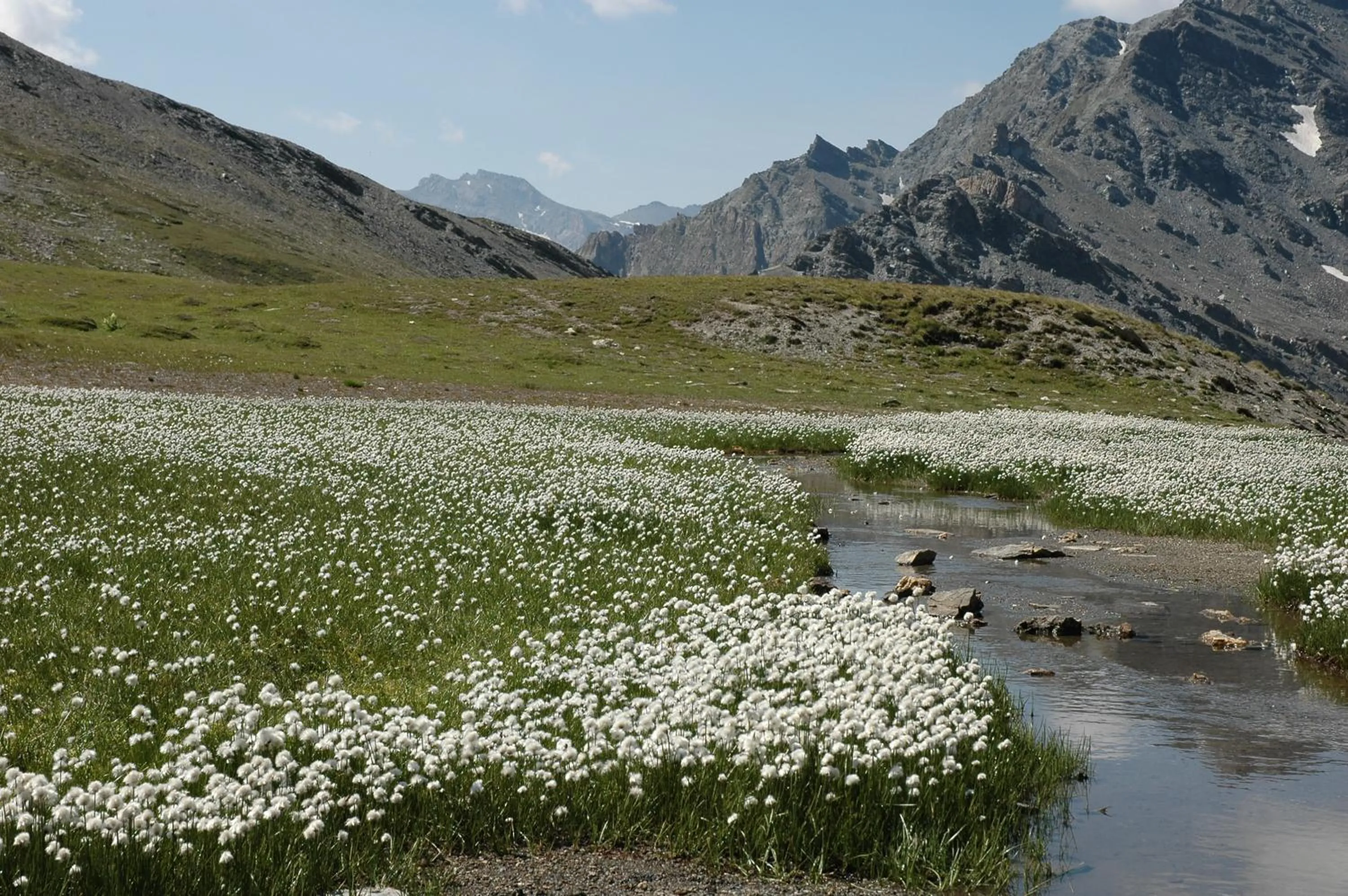 Natural landscape in Chalet de Lanza