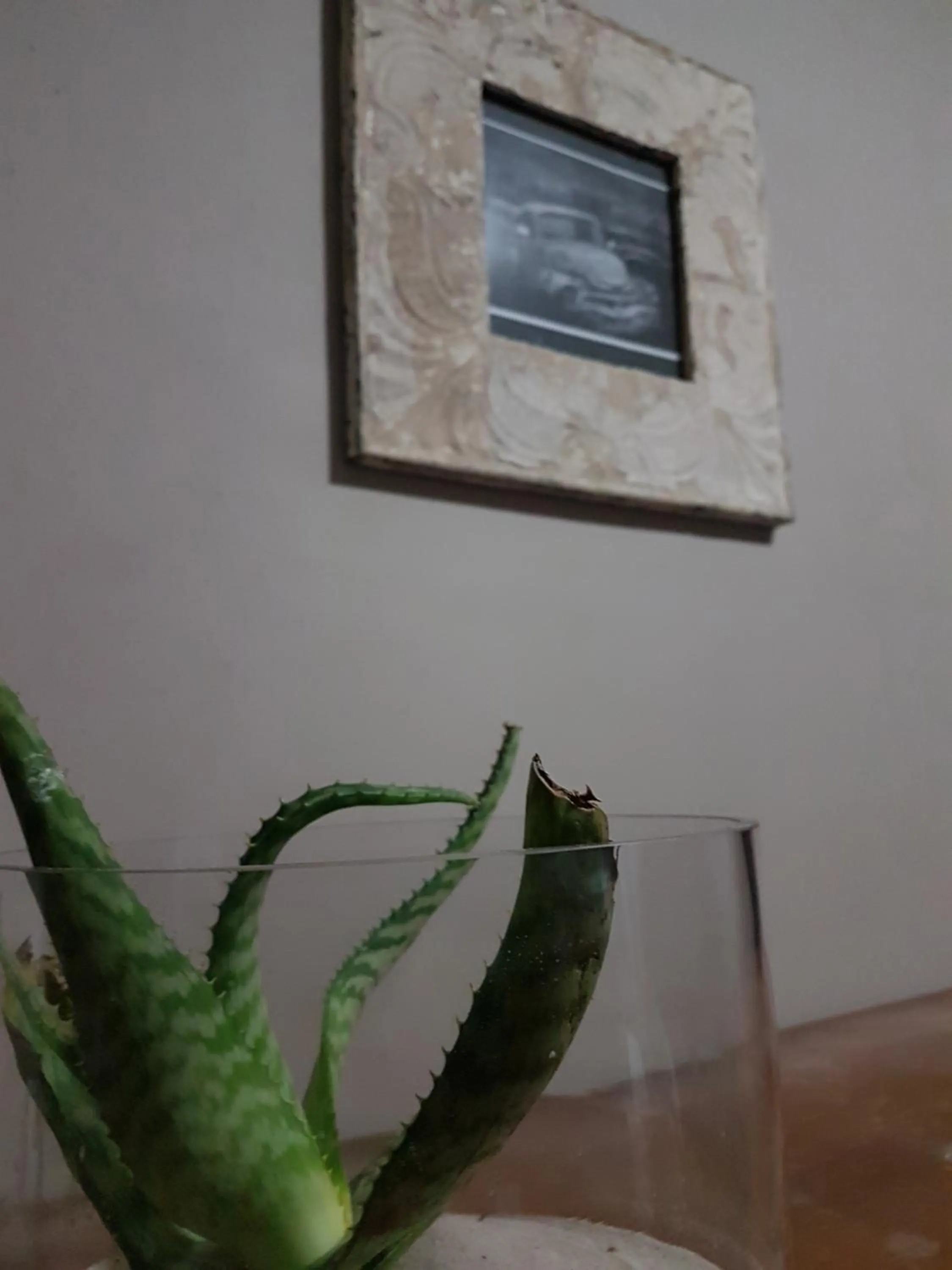 Decorative detail in 440@Brooklyn