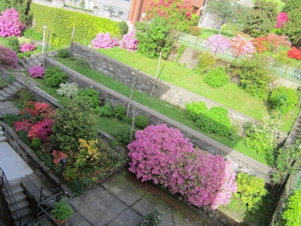 Garden view in Albergo Riva