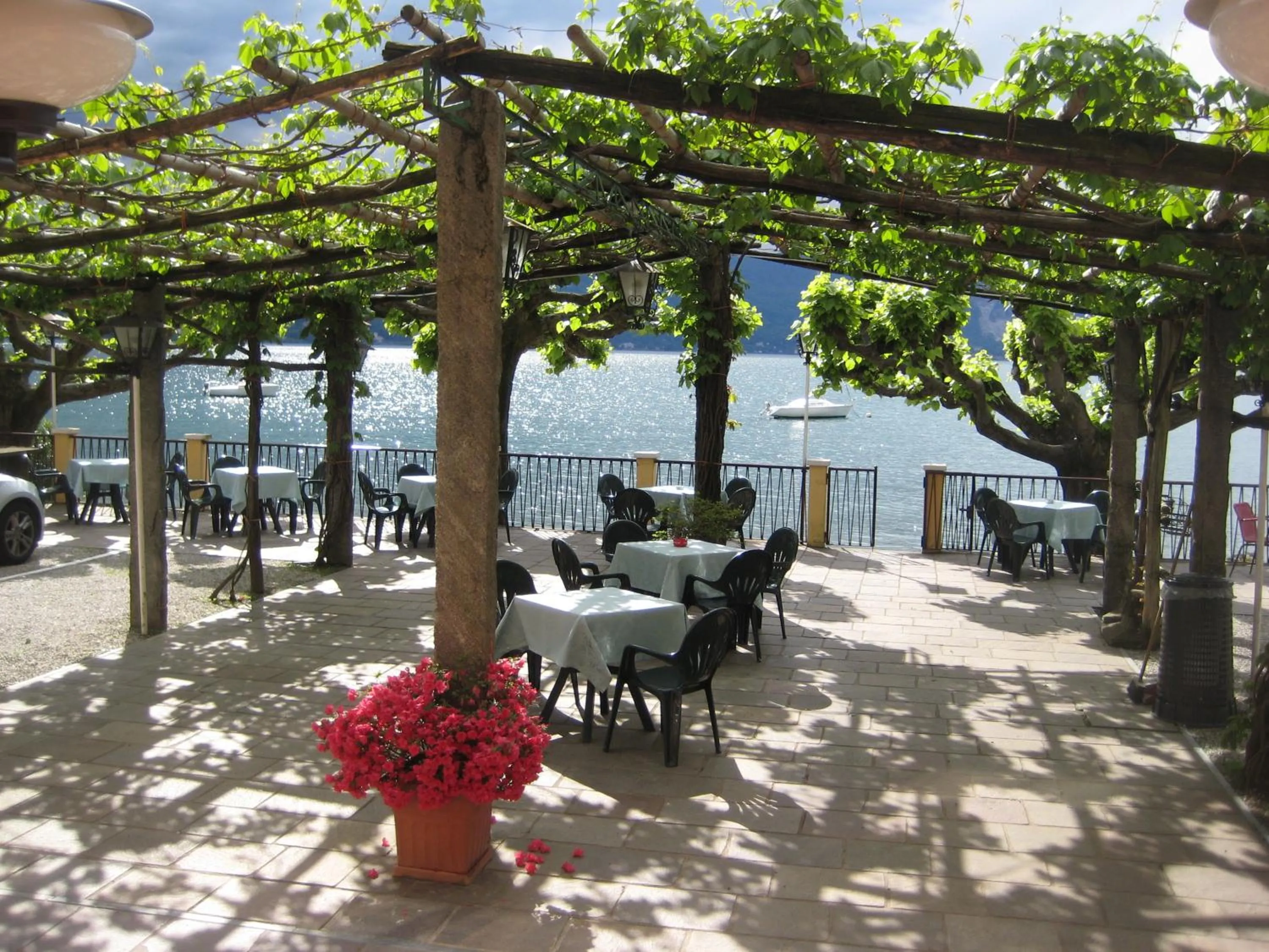 Restaurant/places to eat in Albergo Riva