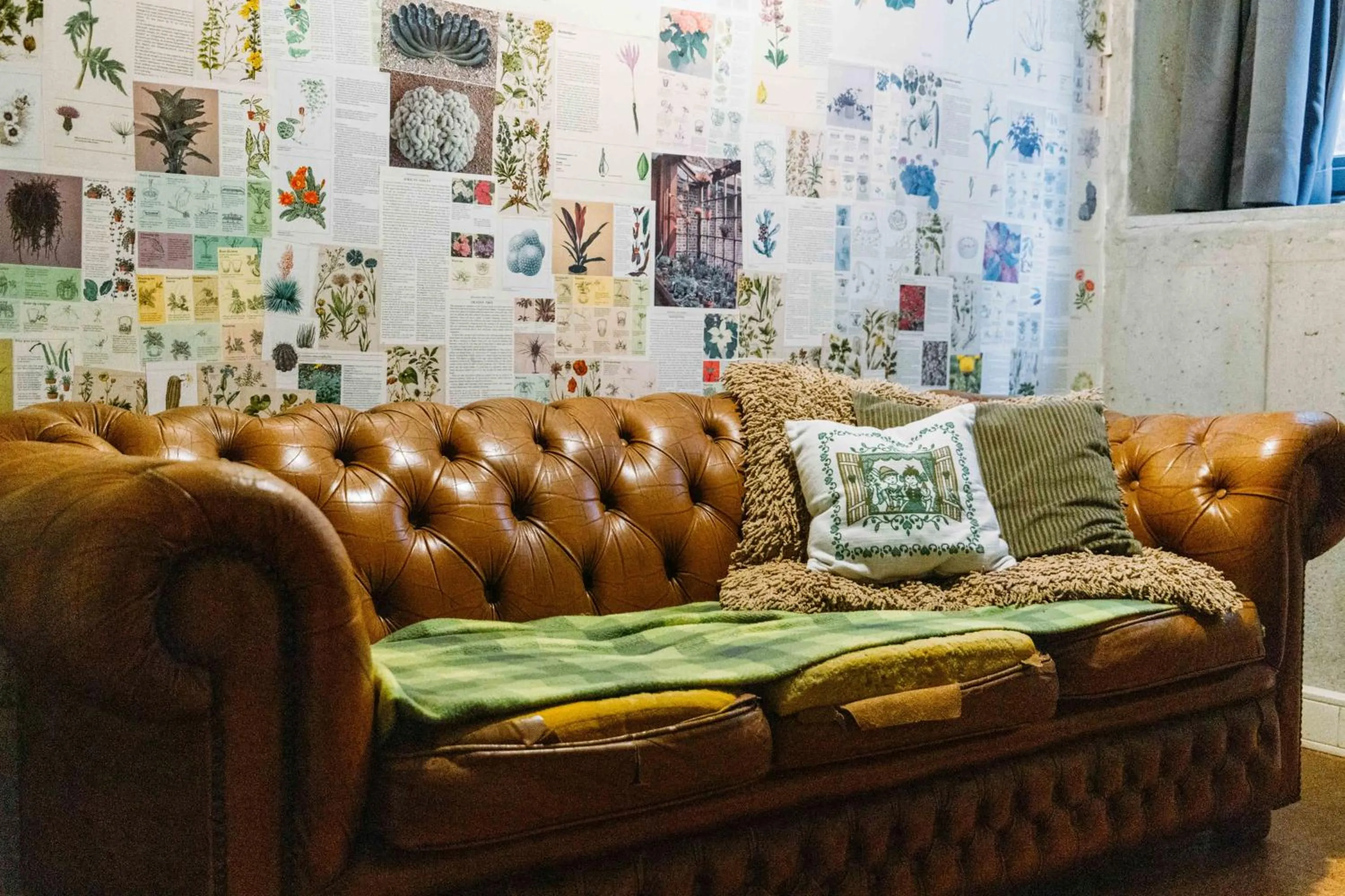 Photo of the whole room in ClinkMama