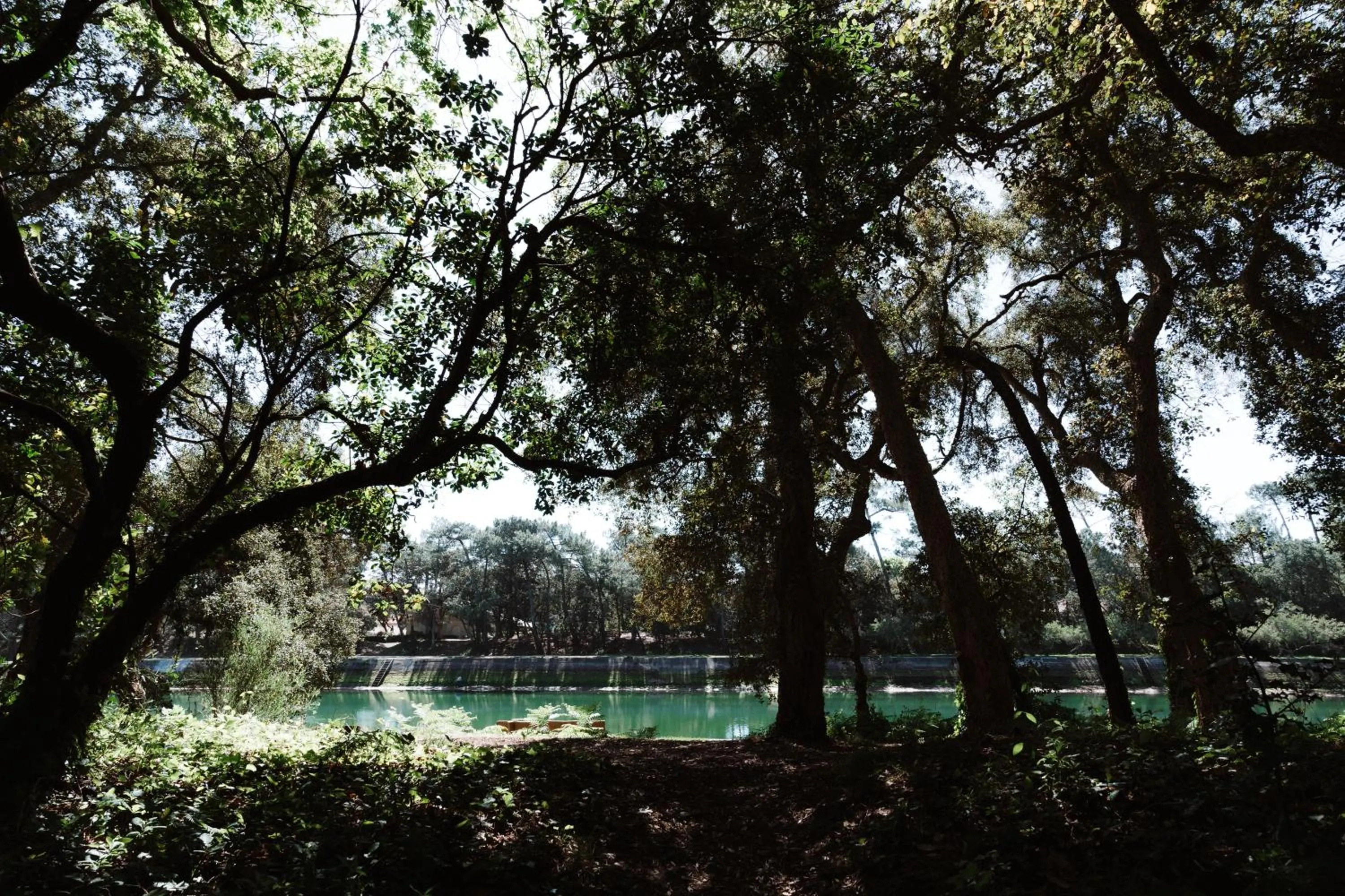 Natural landscape in Hôtel Les Fougères - Hossegor