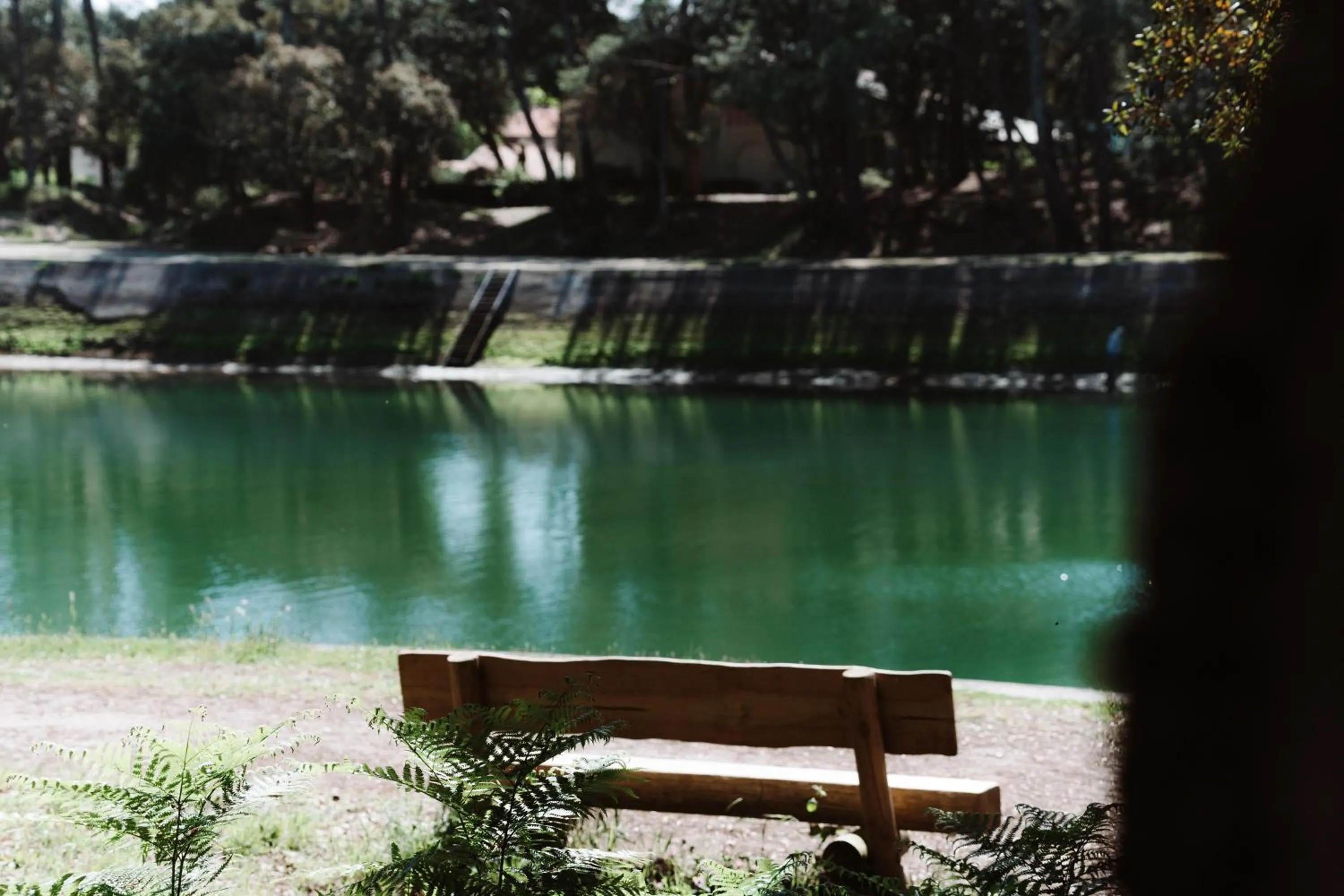 Natural landscape in Hôtel Les Fougères - Hossegor