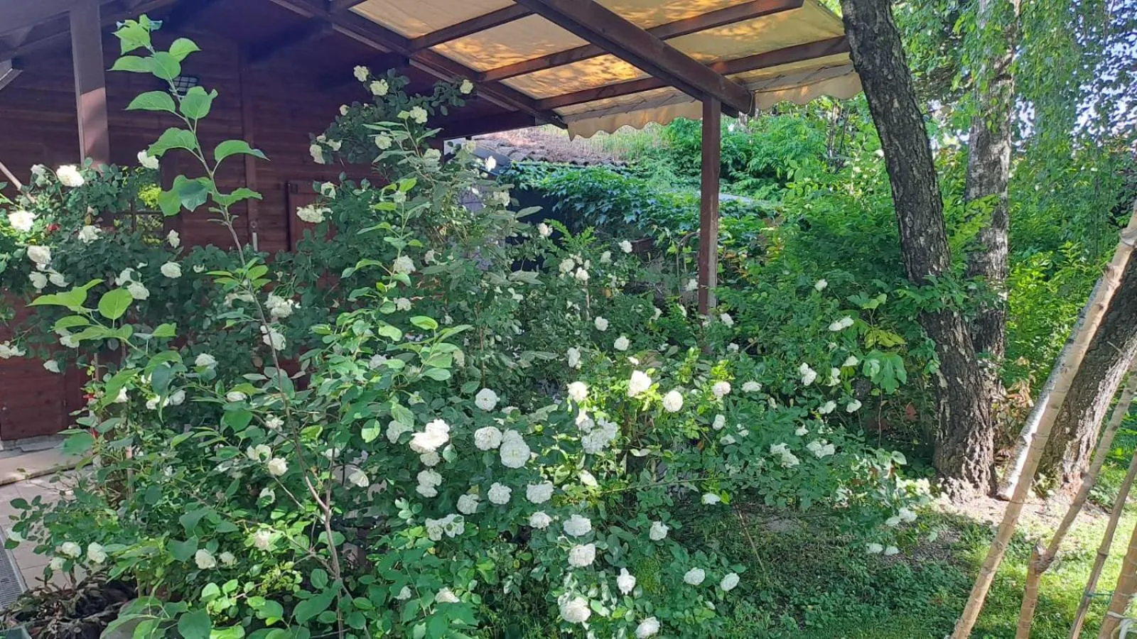 Property building in Ducathotel