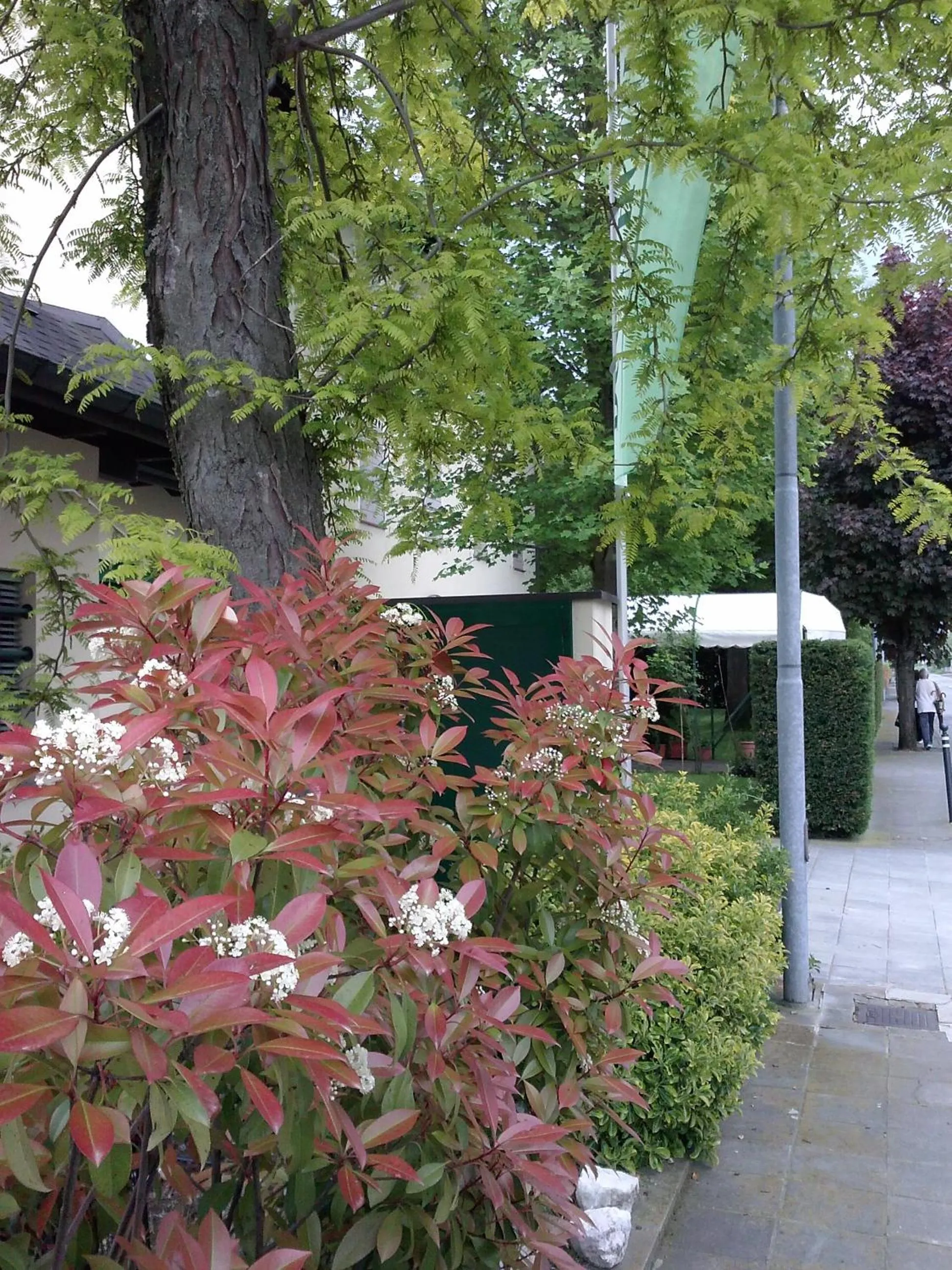 Garden in Ducathotel