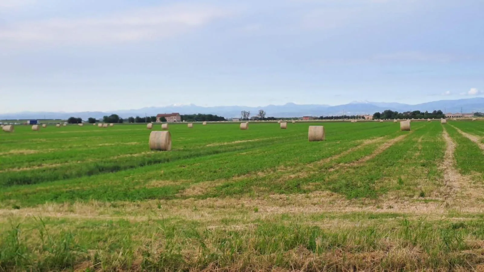 Spring in Ducathotel