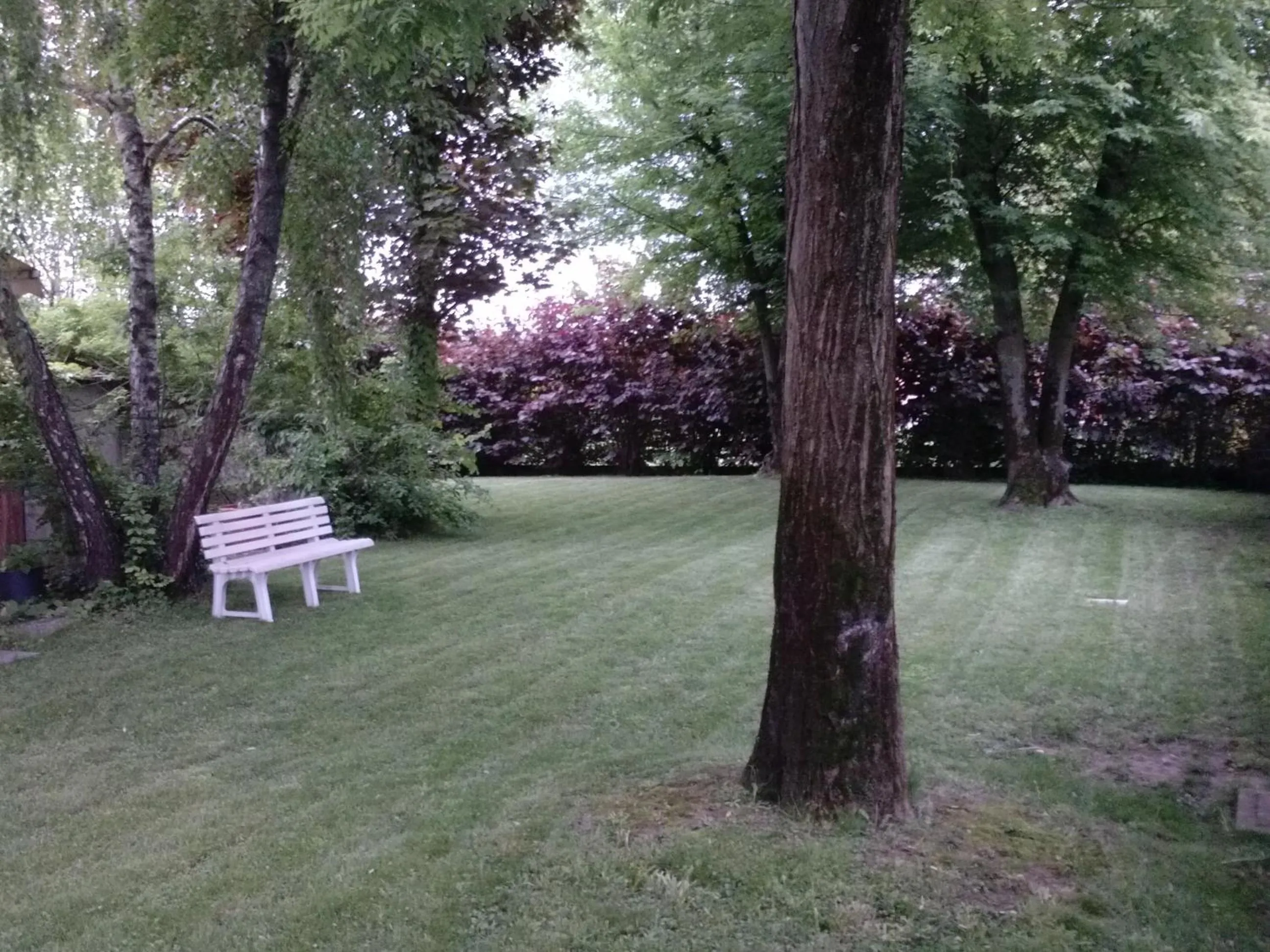 Garden view in Ducathotel