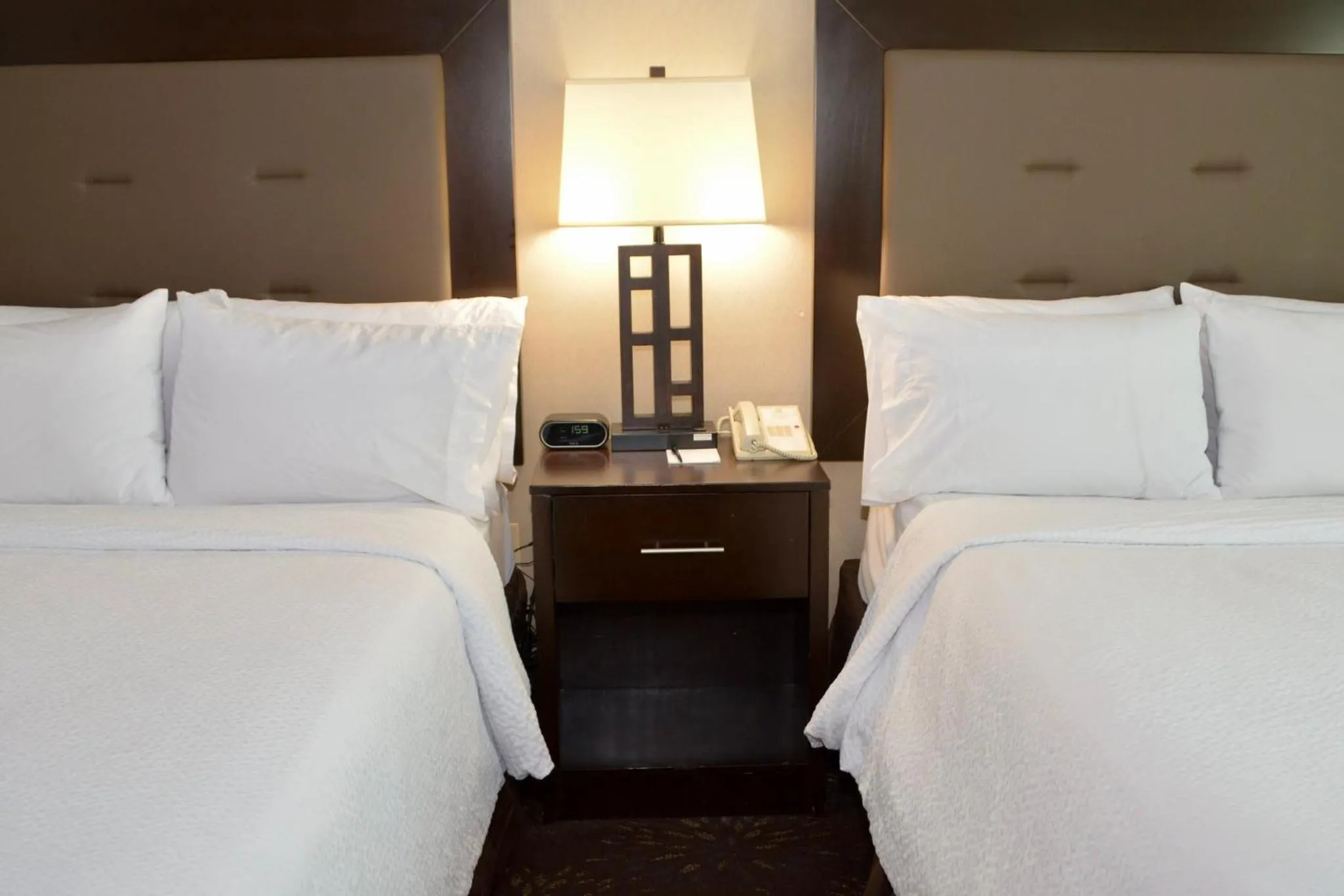 Photo of the whole room, Bed in Holiday Inn Budd Lake - Rockaway Area by IHG