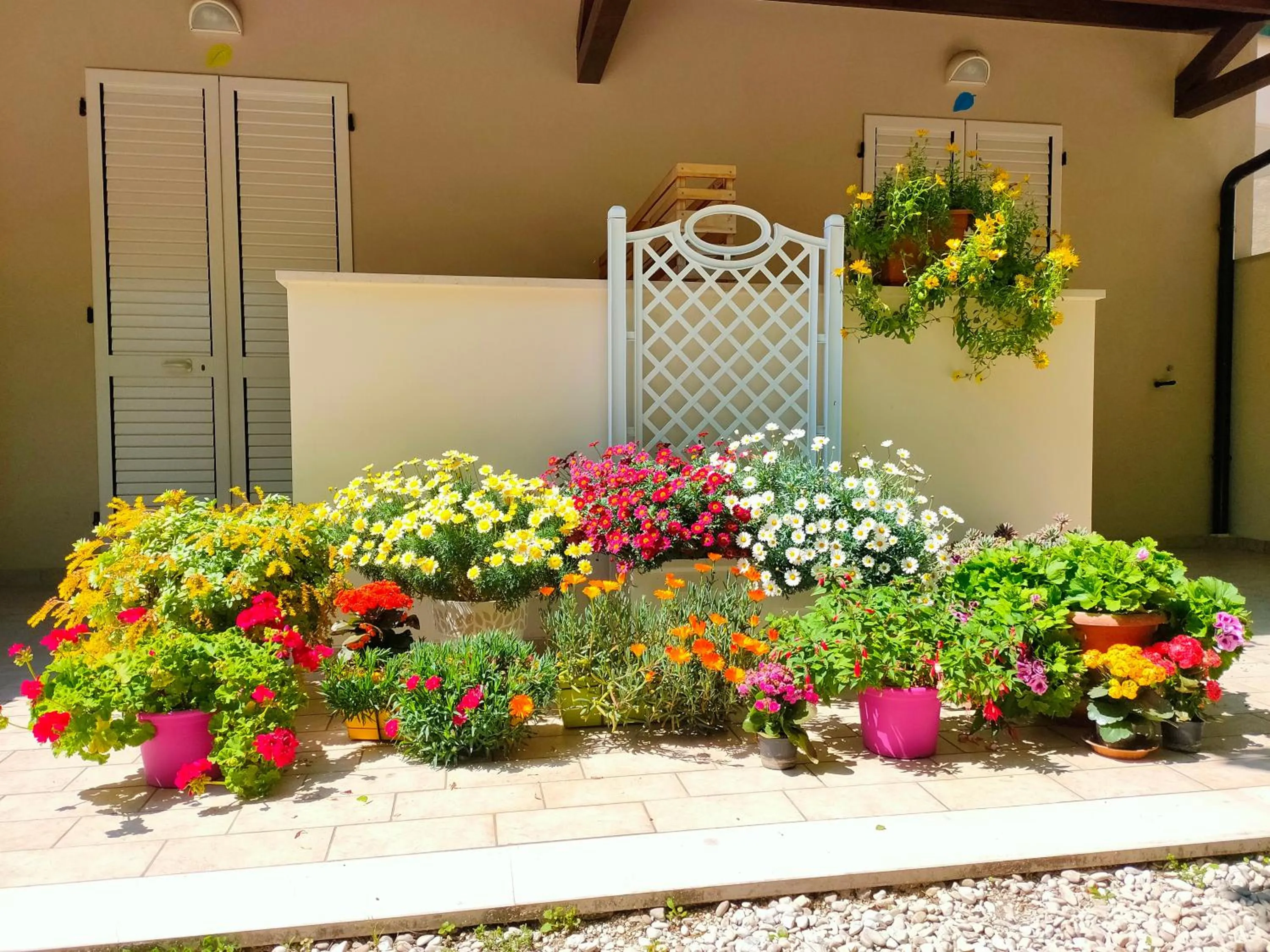 Balcony/Terrace in Il Gelso di Sofia B&B