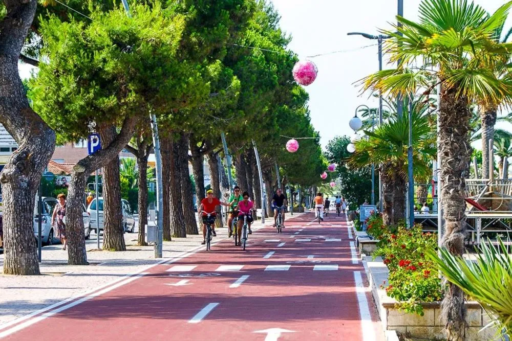 Cycling in Il Gelso di Sofia B&B