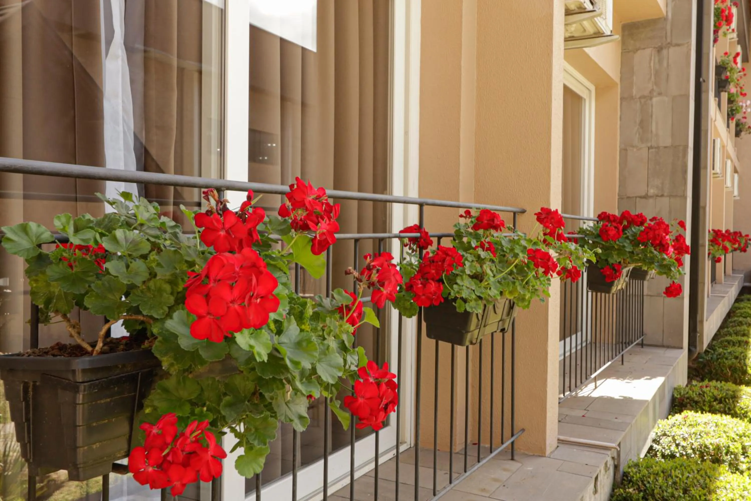 Balcony/Terrace in Hotel Querência