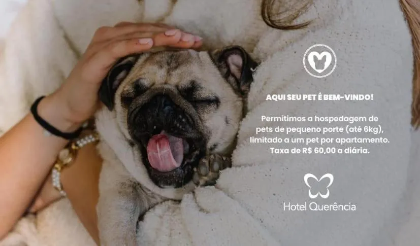 Pets in Hotel Querência