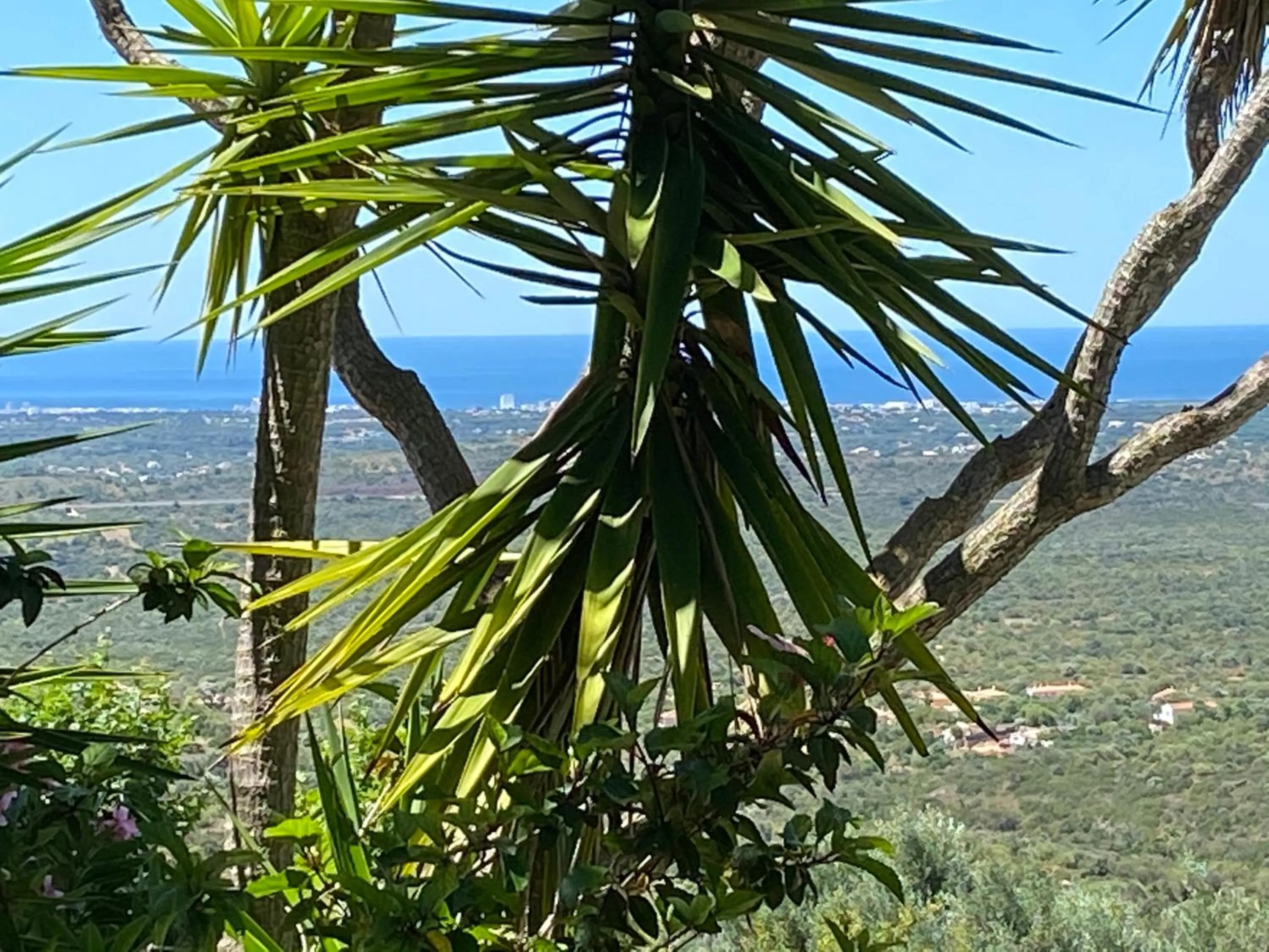 Sea view in Felicidade