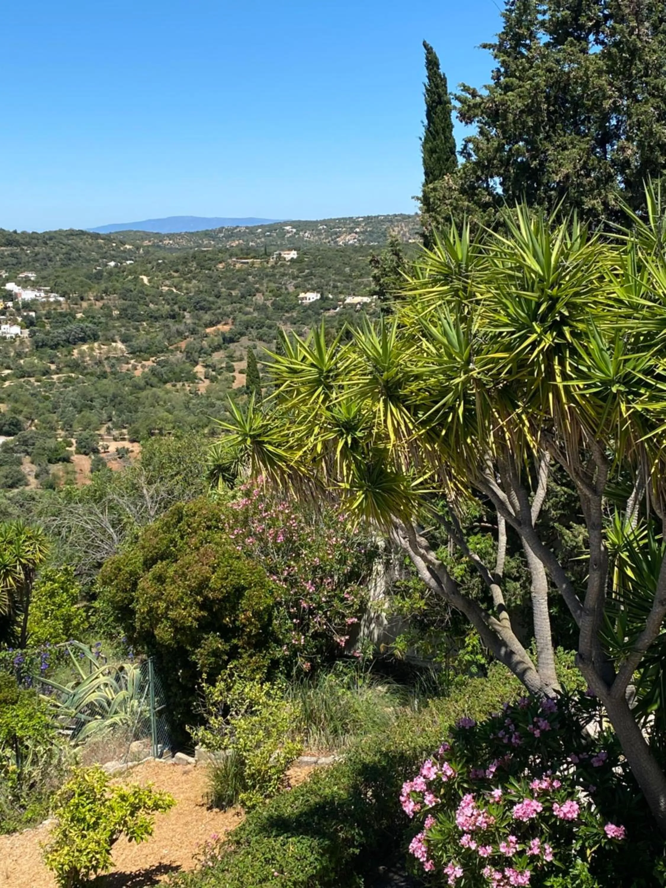 Natural landscape in Felicidade