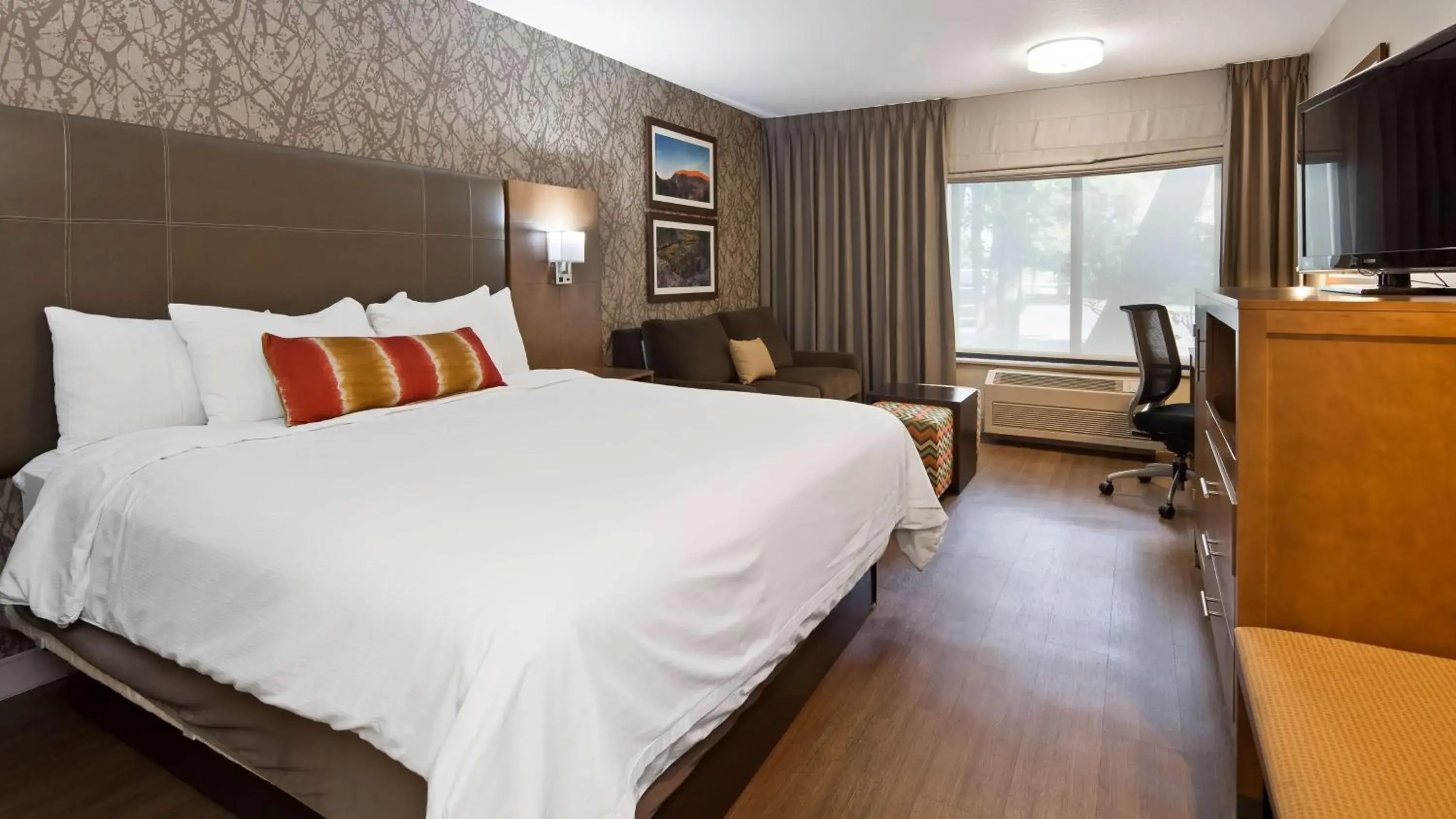 King Room with Sofa Bed - Pet Friendly in Best Western Plus CottonTree Inn King Room with Sofa Bed - Pet Friendly in Best Western Plus CottonTree Inn