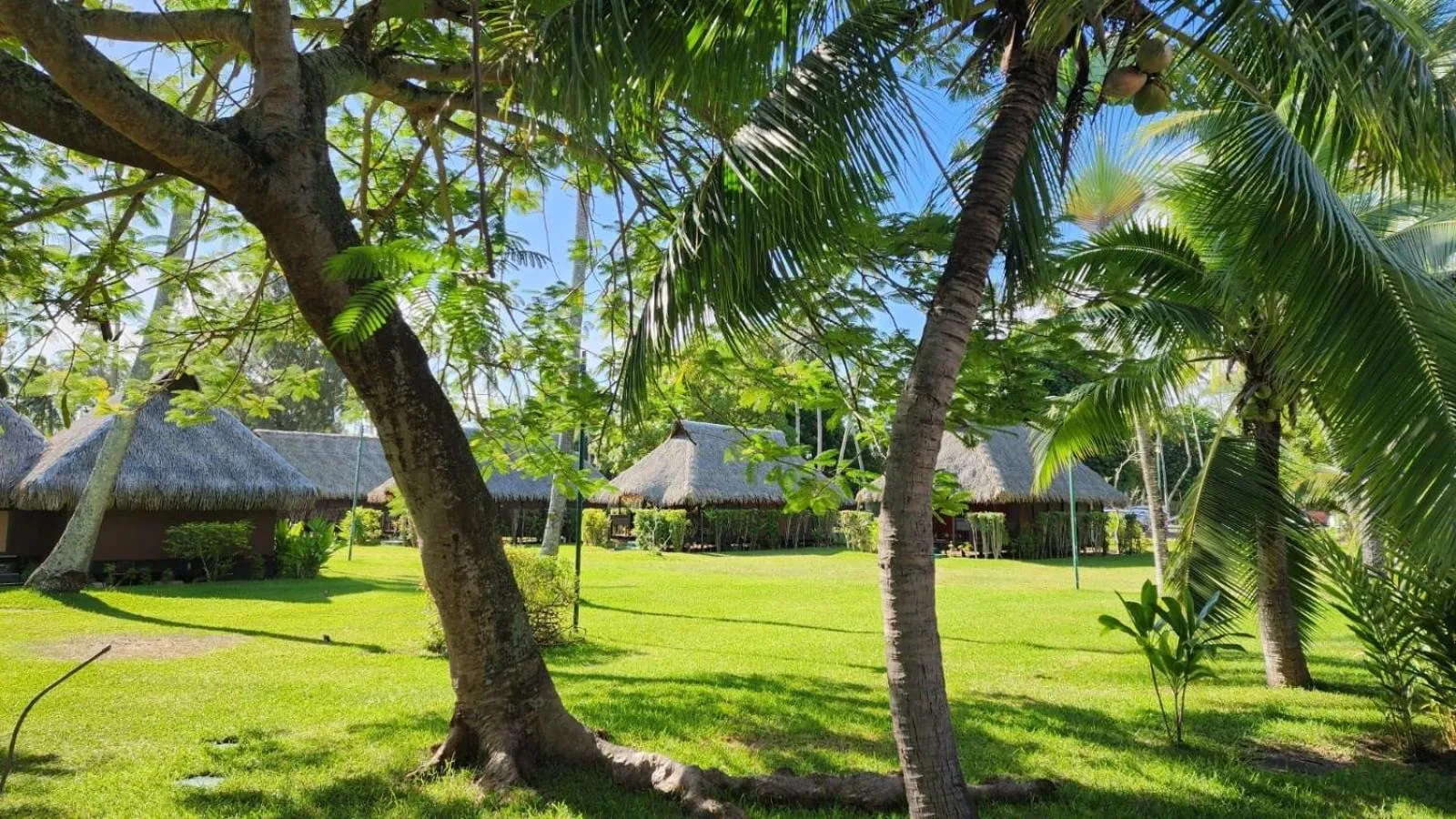 Garden in Hotel Hibiscus