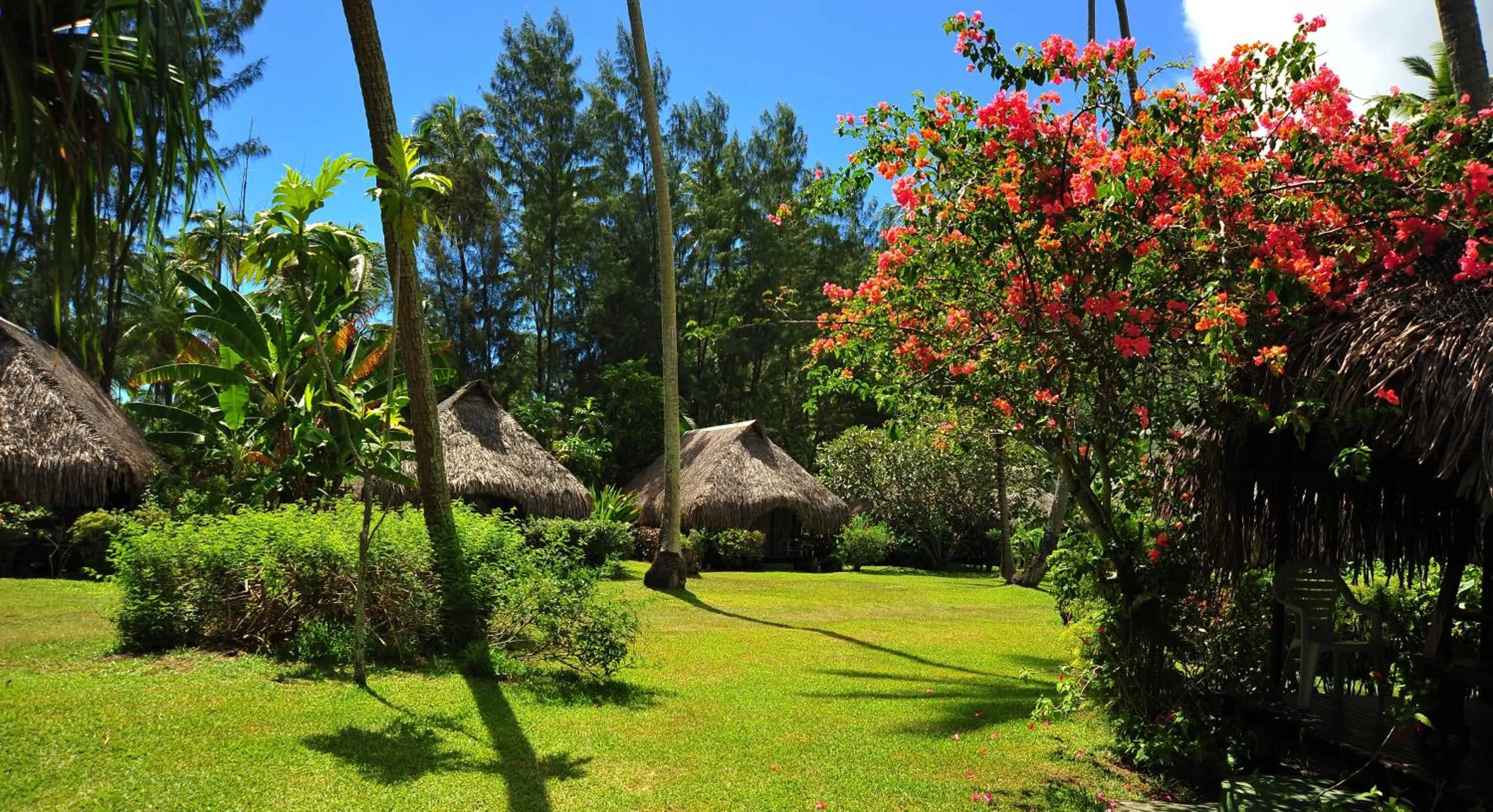 Day in Hotel Hibiscus