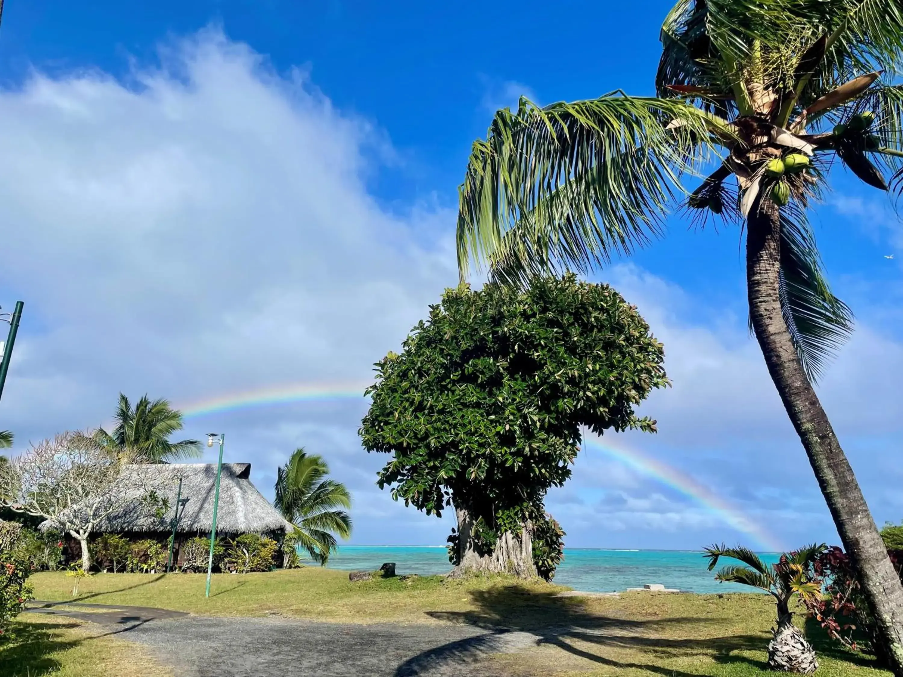 Deluxe Bungalow with Sea View in Hotel Hibiscus Deluxe Bungalow with Sea View in Hotel Hibiscus