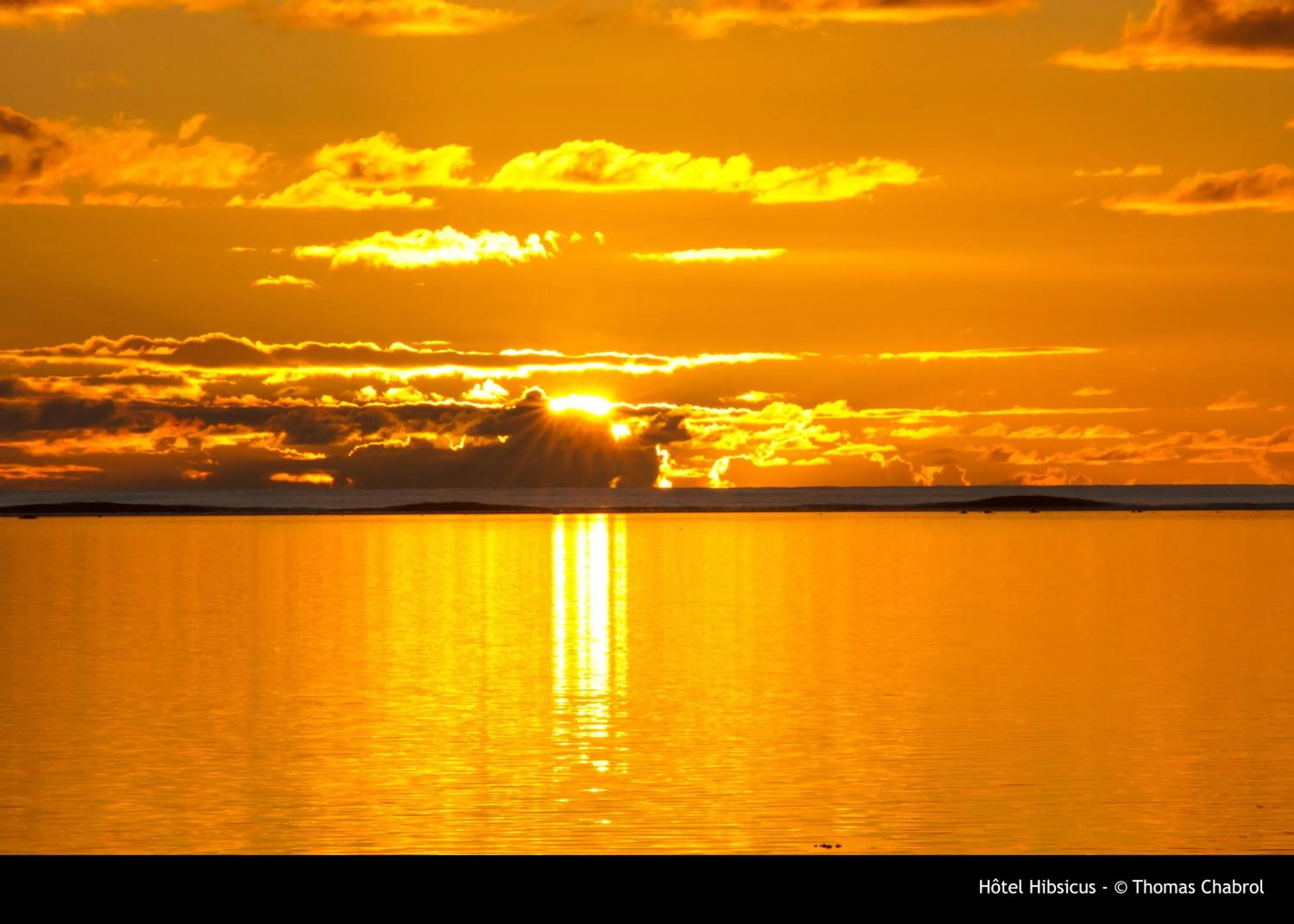 Restaurant/places to eat in Hotel Hibiscus