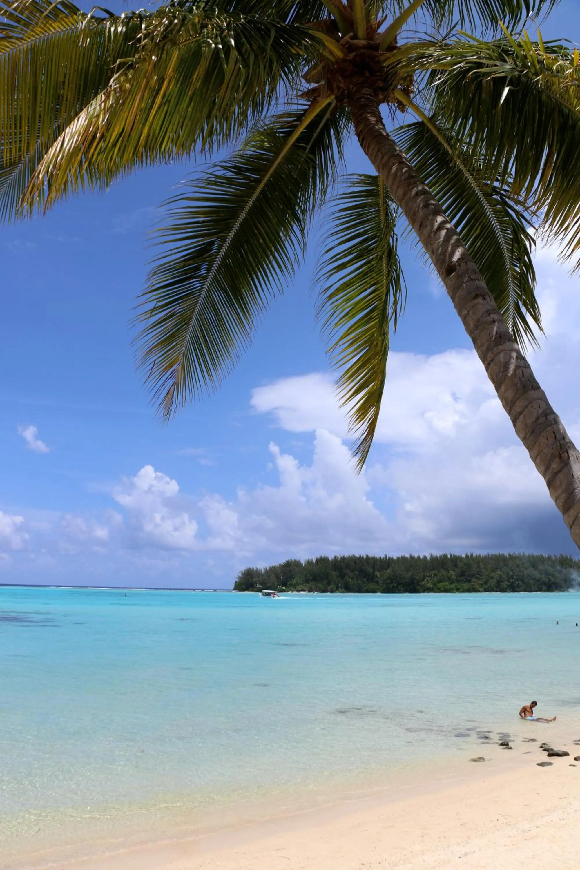 Restaurant/places to eat in Hotel Hibiscus