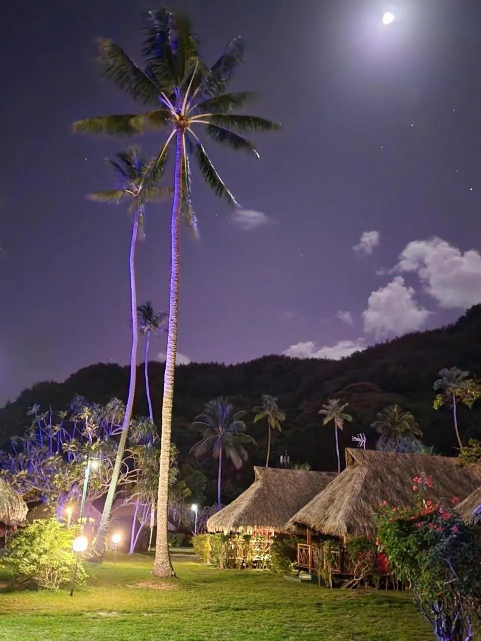 Night in Hotel Hibiscus