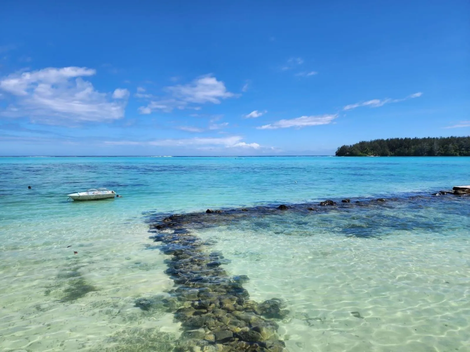 Beach in Hotel Hibiscus