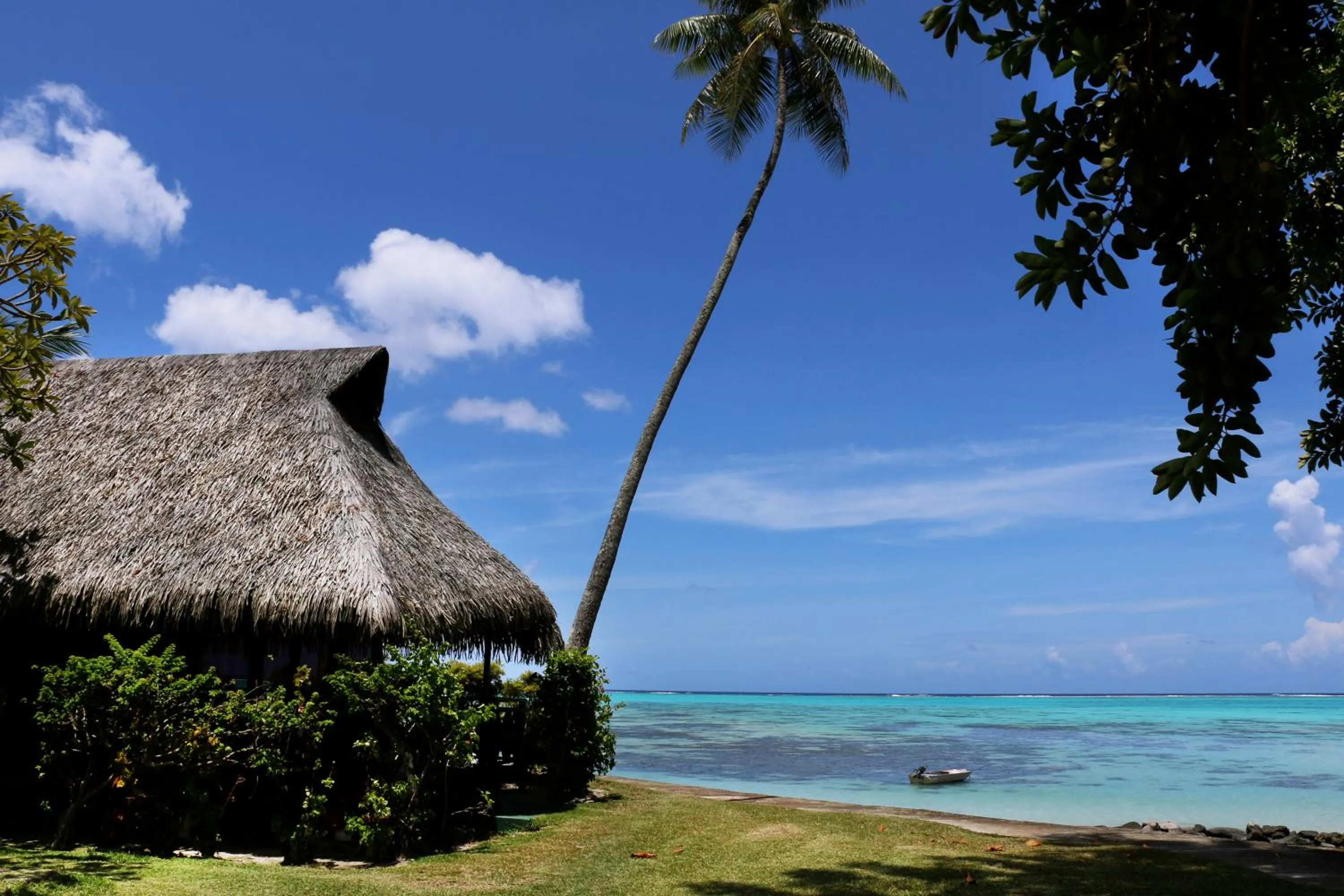 Deluxe Bungalow with Sea View in Hotel Hibiscus