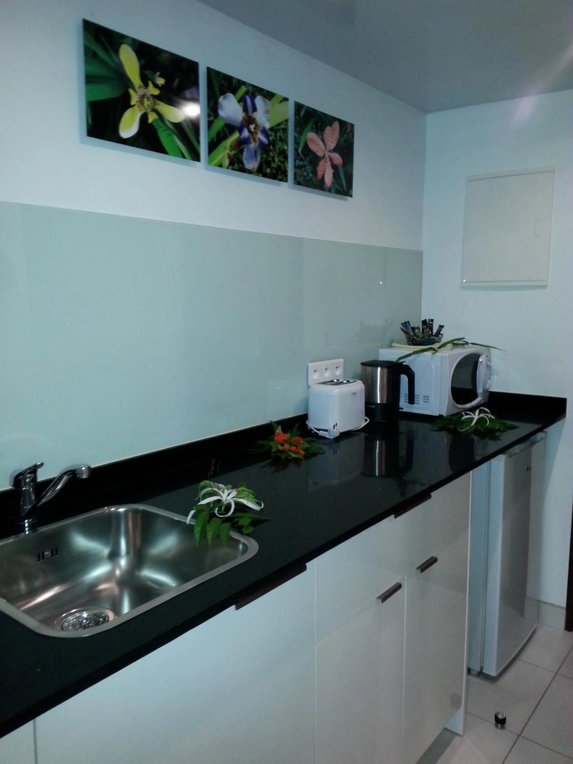 Kitchen or kitchenette in Hotel Hibiscus