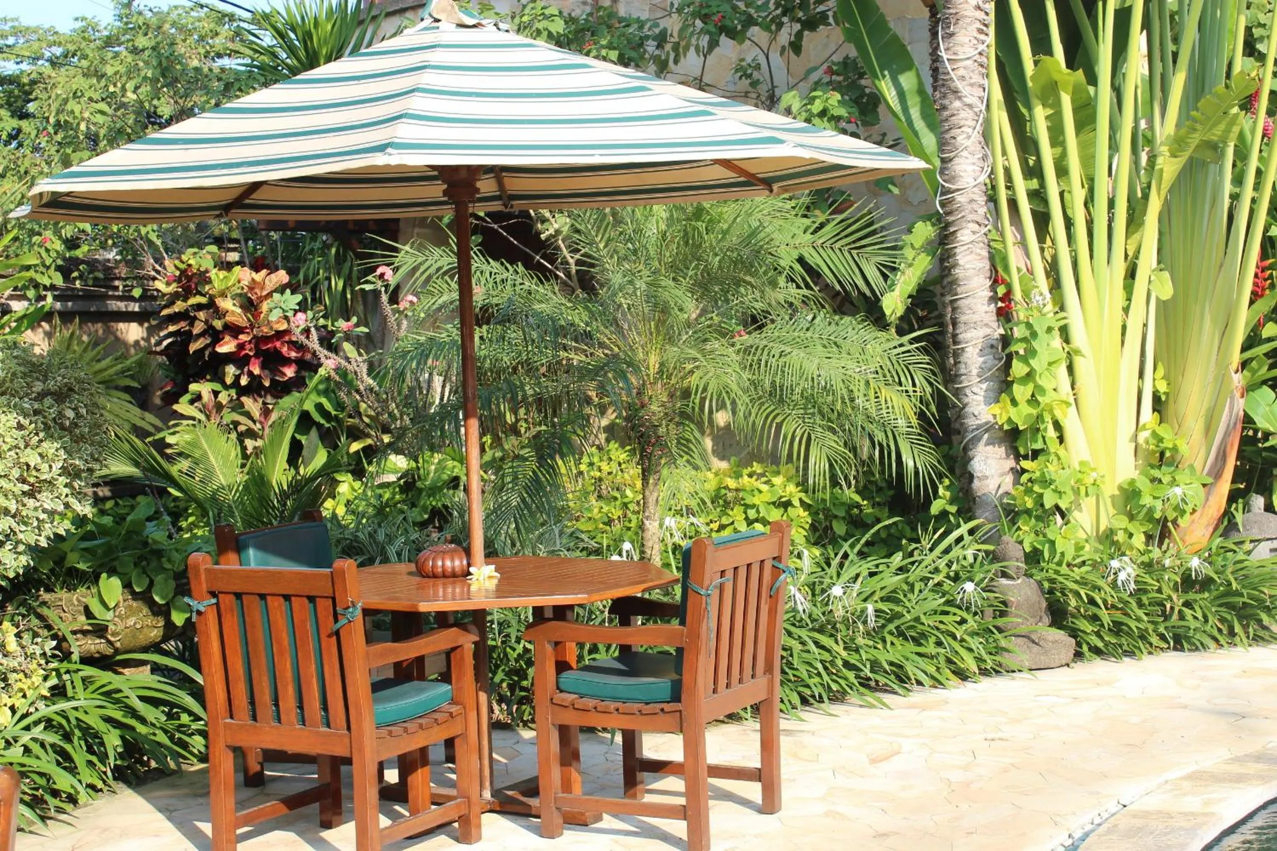 Garden in Dewani Villa Resort