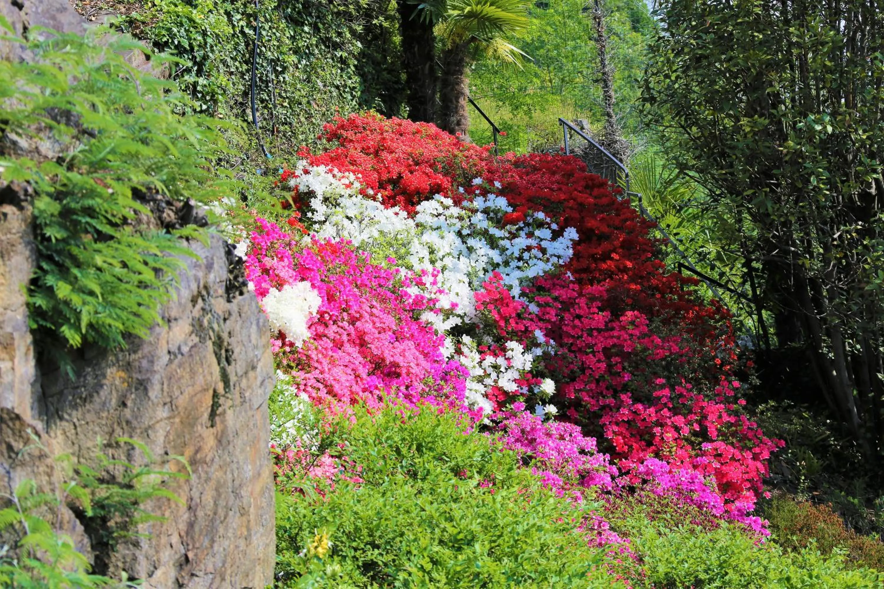 Natural landscape in Appartamenti Ferrari Residence