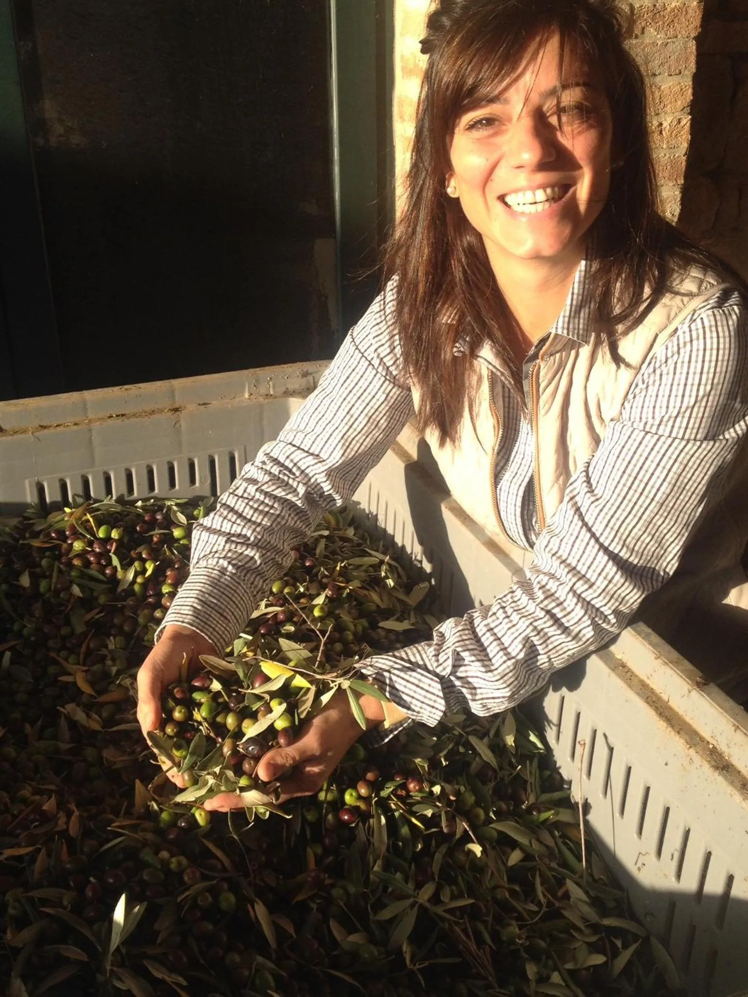 BBQ facilities in Agriturismo Il Macchione