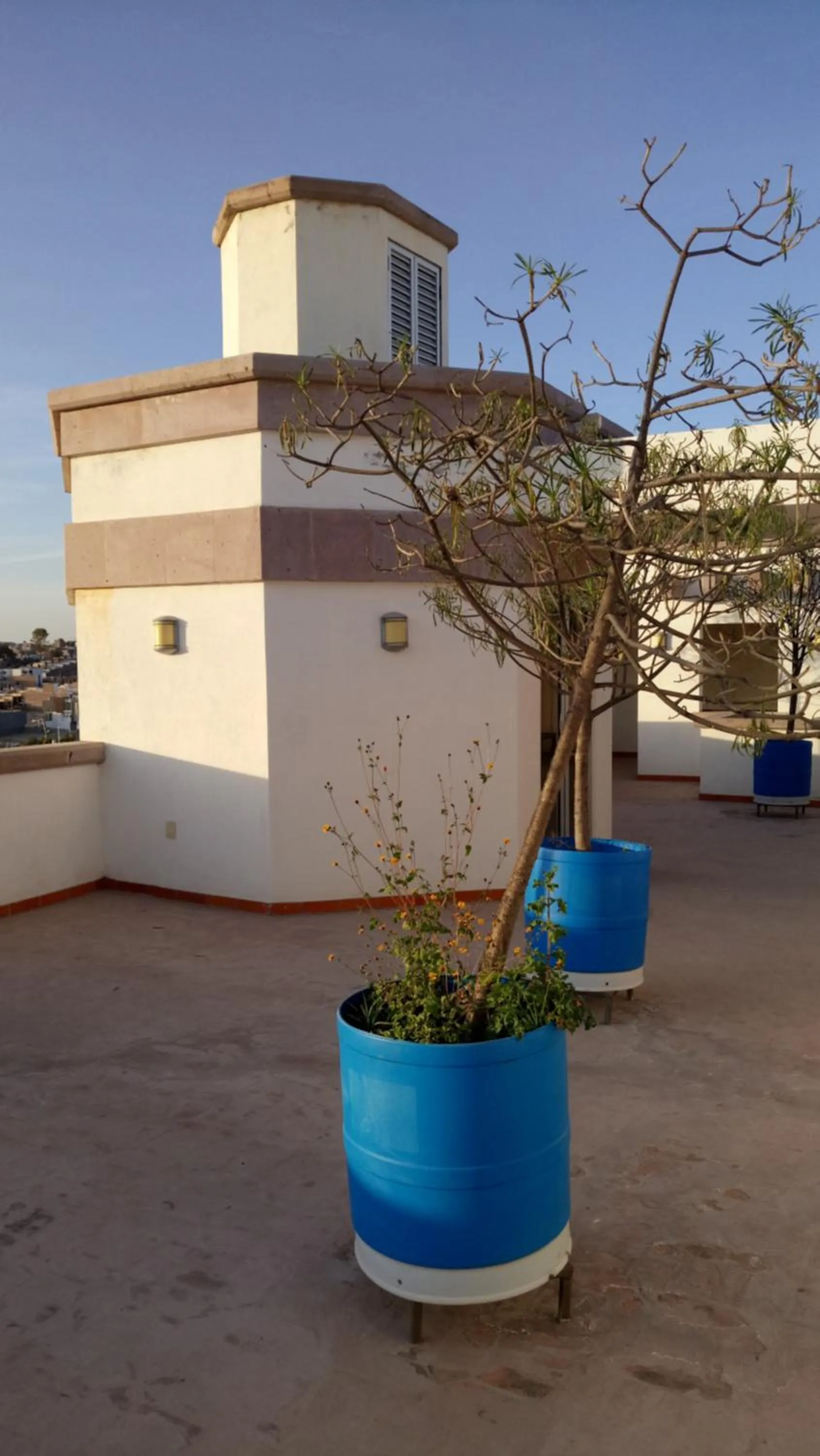 Patio in Suites Sta Tere