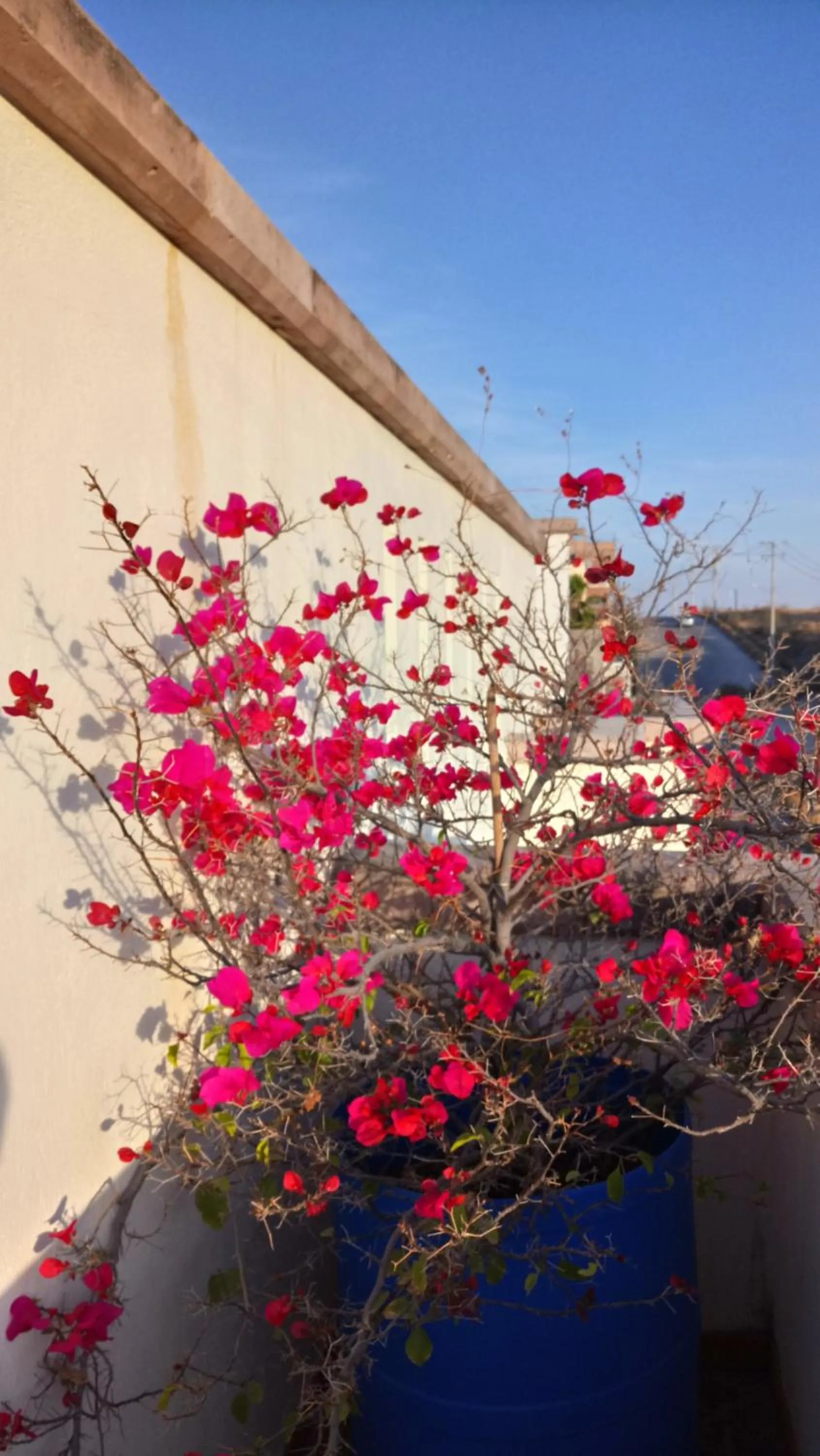 Property building in Suites Sta Tere