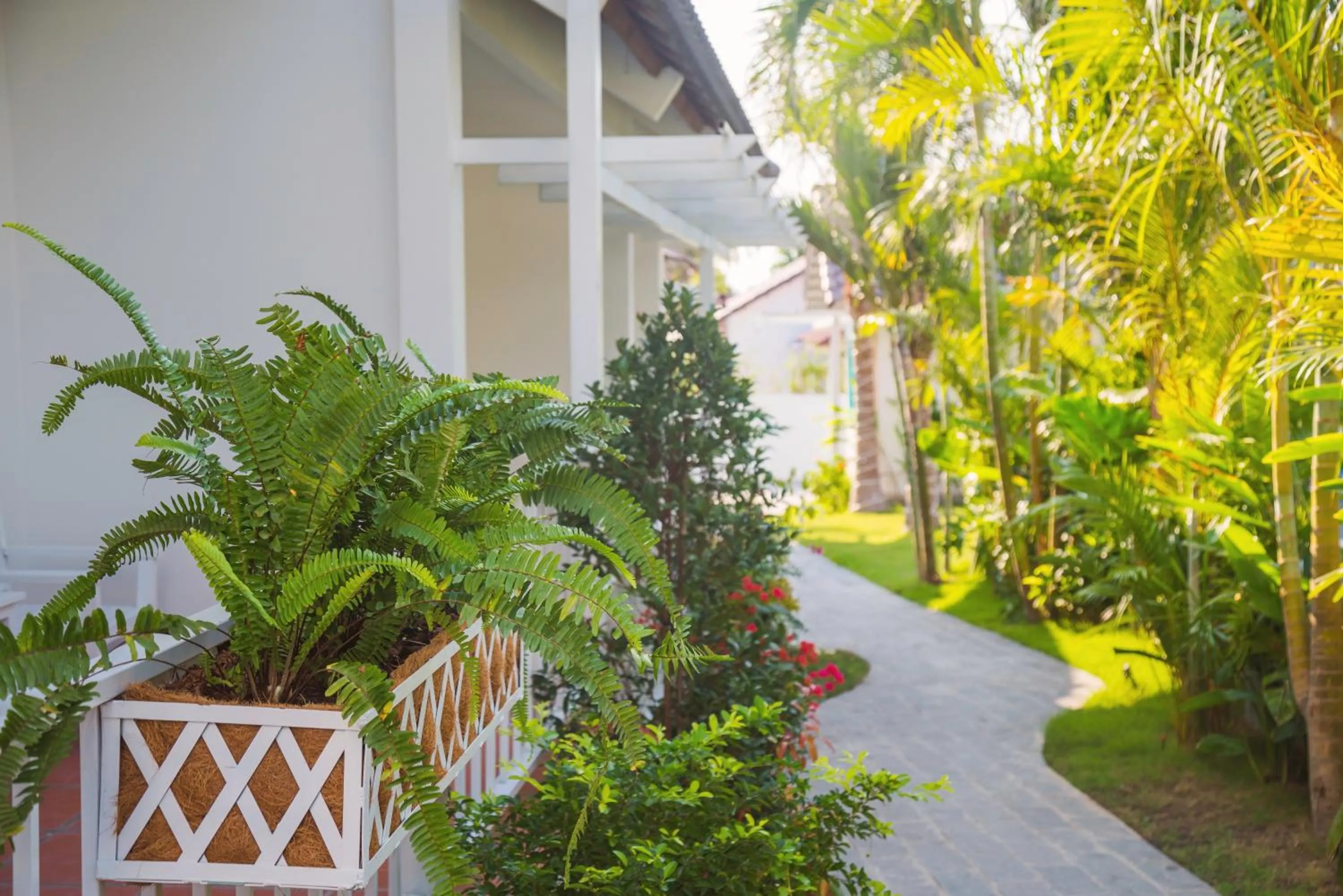 Garden in Philip Bungalow