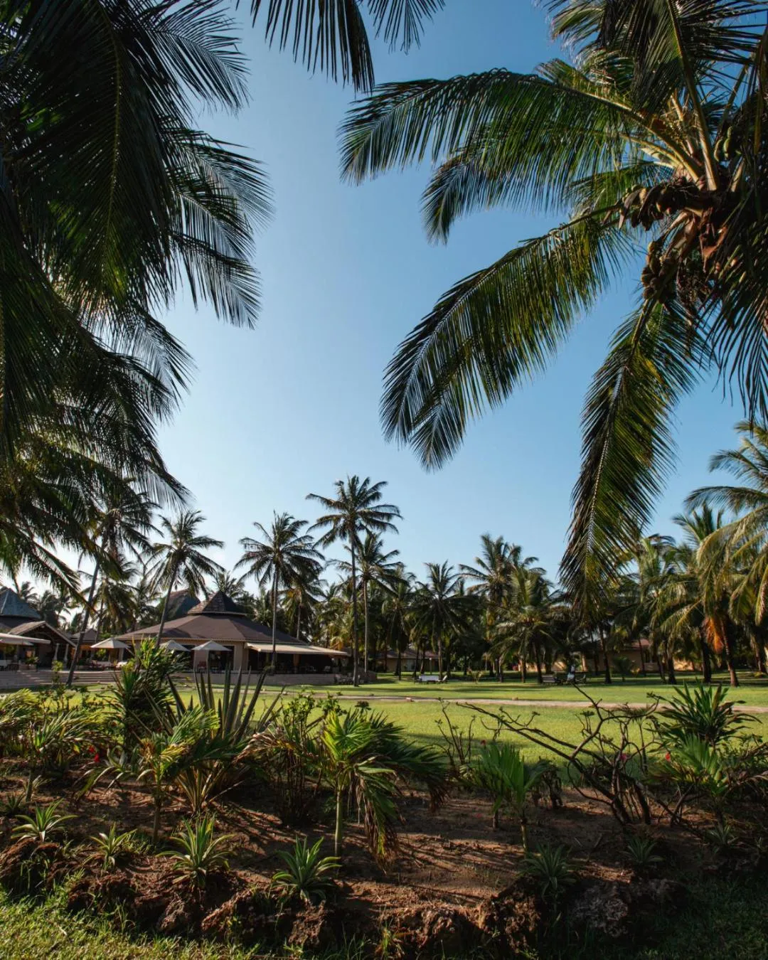 Garden in Ocean Beach Resort & SPA
