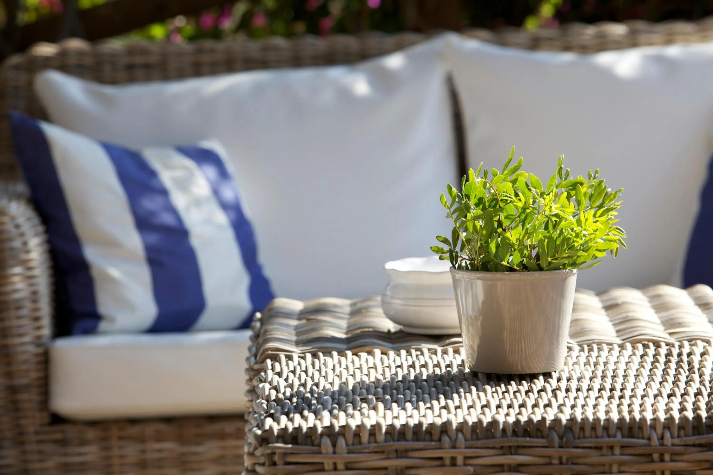 Garden in Boutique Hotel Su Sergenti