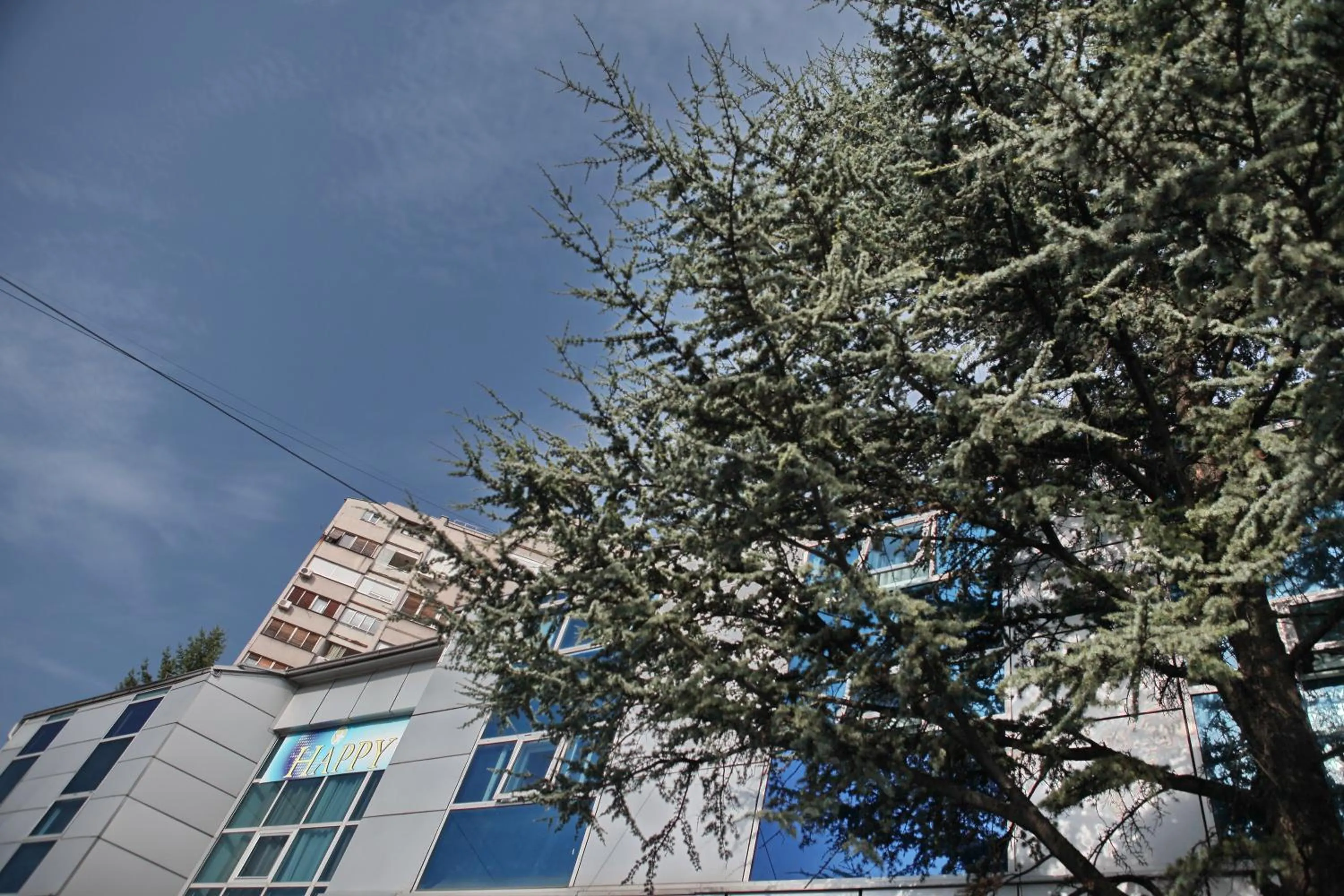 Bird's eye view in Happy Star Club