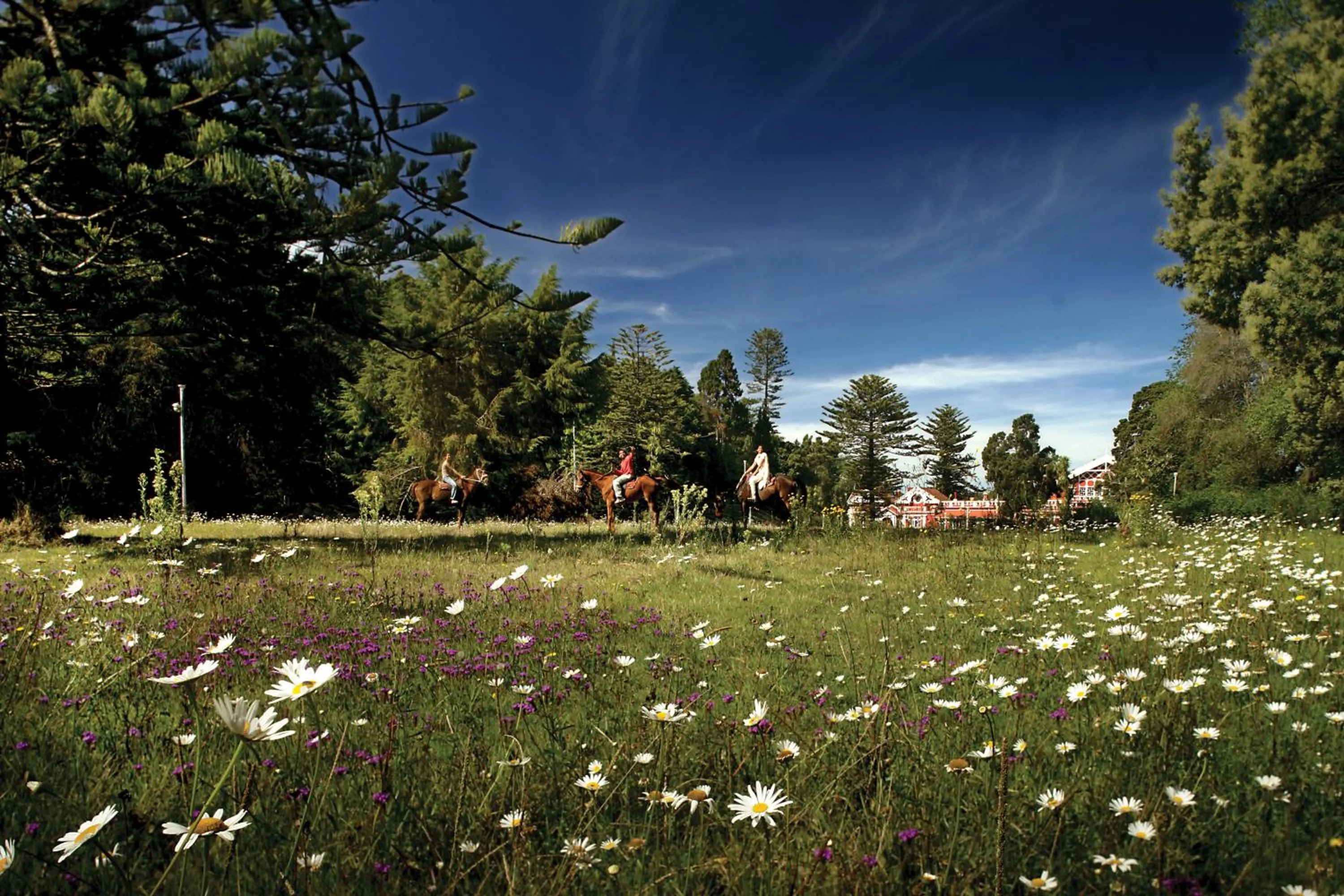 Garden in WelcomHeritage Fernhills Royal Palace