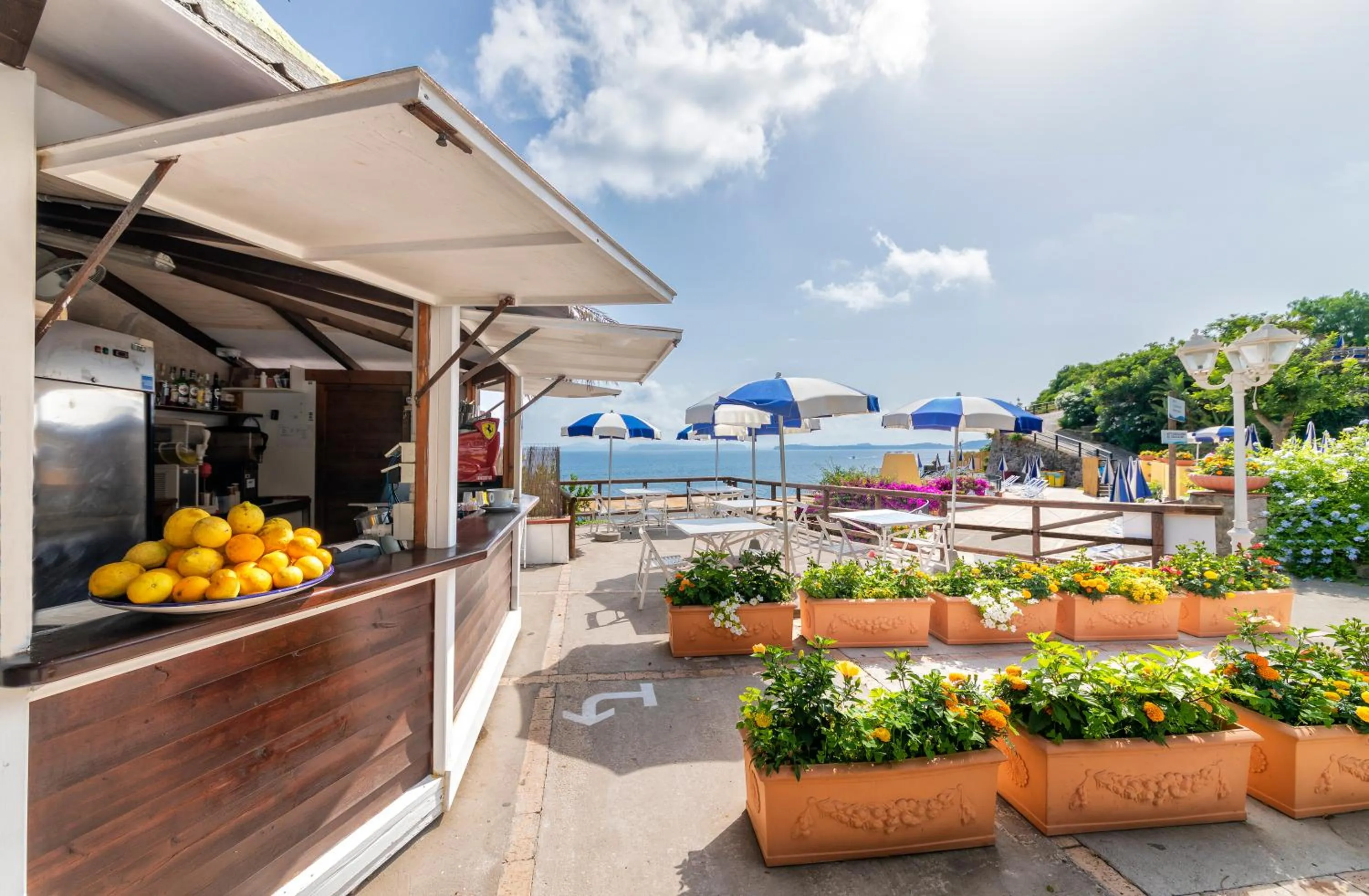 Restaurant/places to eat in Hotel Oasi Castiglione