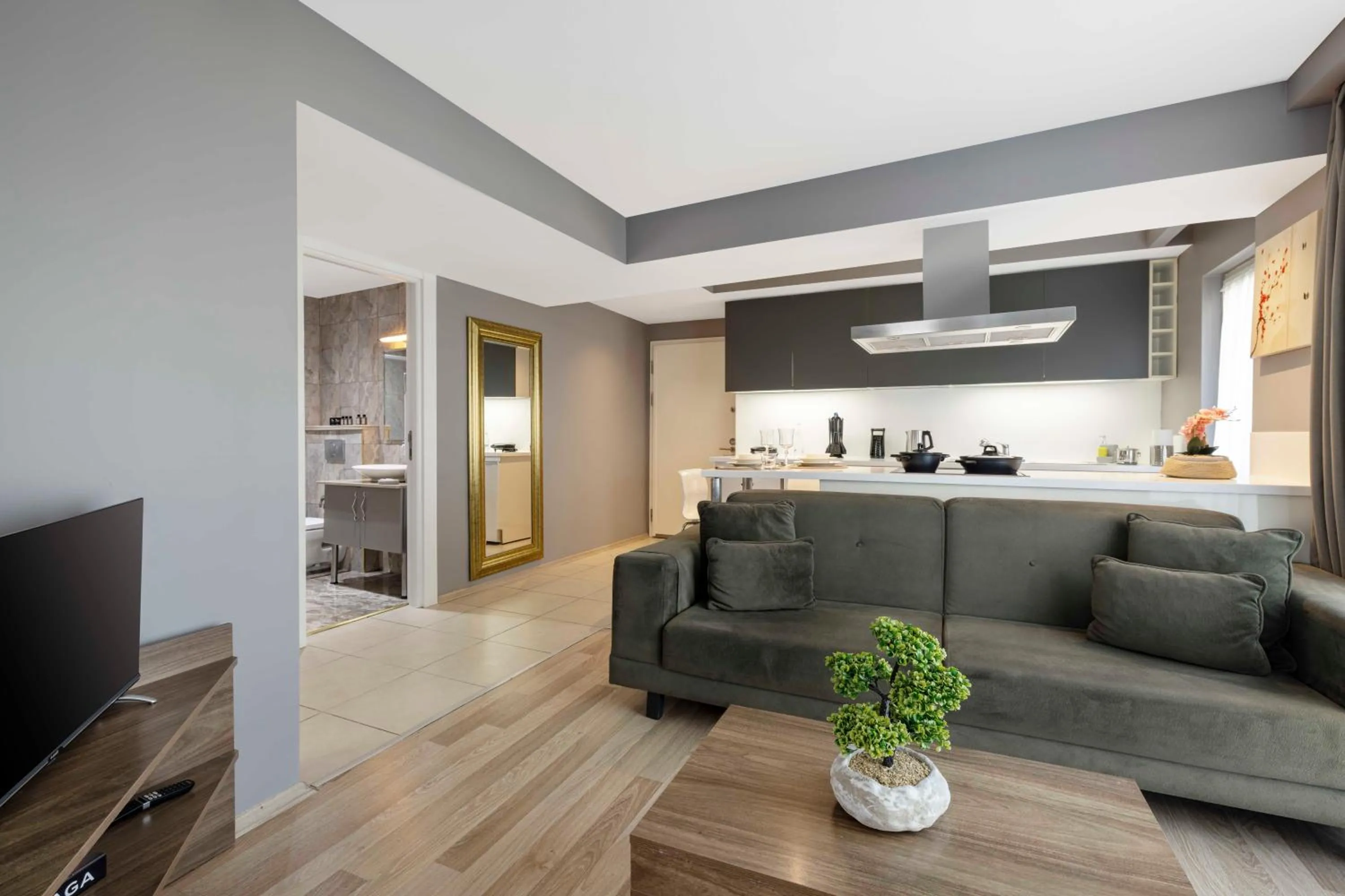 TV and multimedia in Nardi Nişantaşı