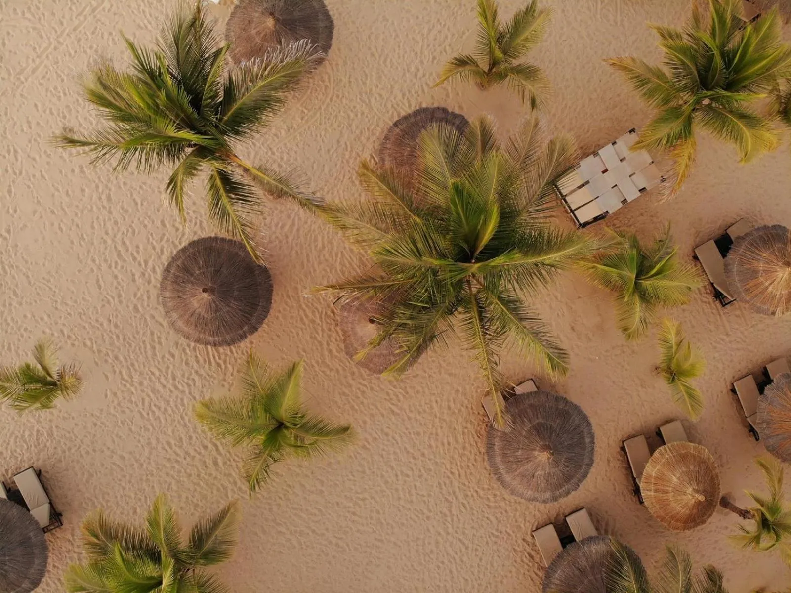 Day in Movenpick Resort Lamantin Saly