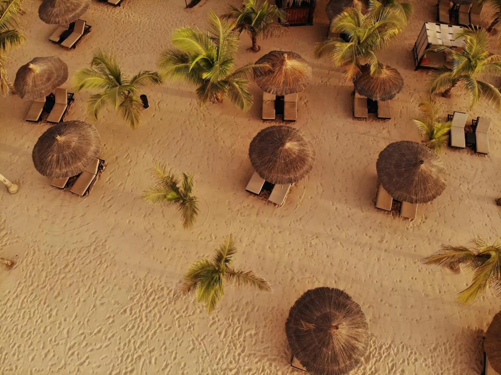 Beach in Movenpick Resort Lamantin Saly